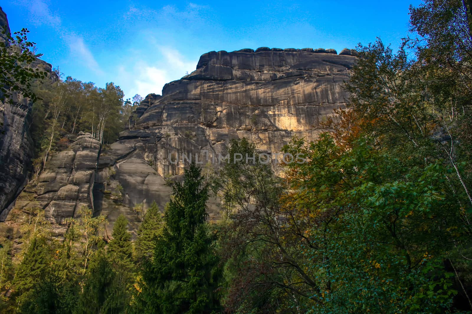 Landscape in the national park of the saxonian suisse