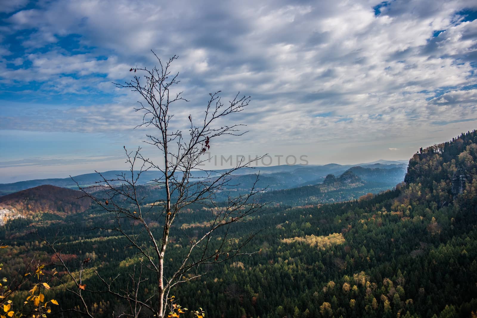 Landscape in the national park of the saxonian suisse