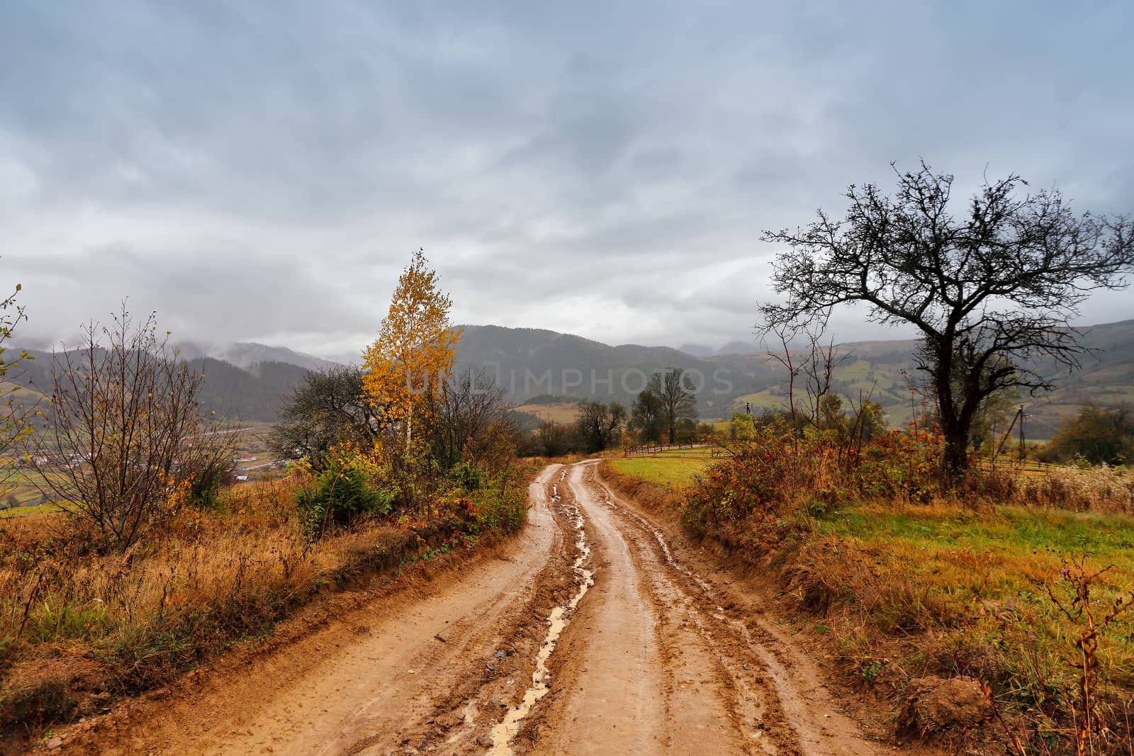 Muddy ground after rain in mountains. Extreme path rural dirt ro by weise_maxim