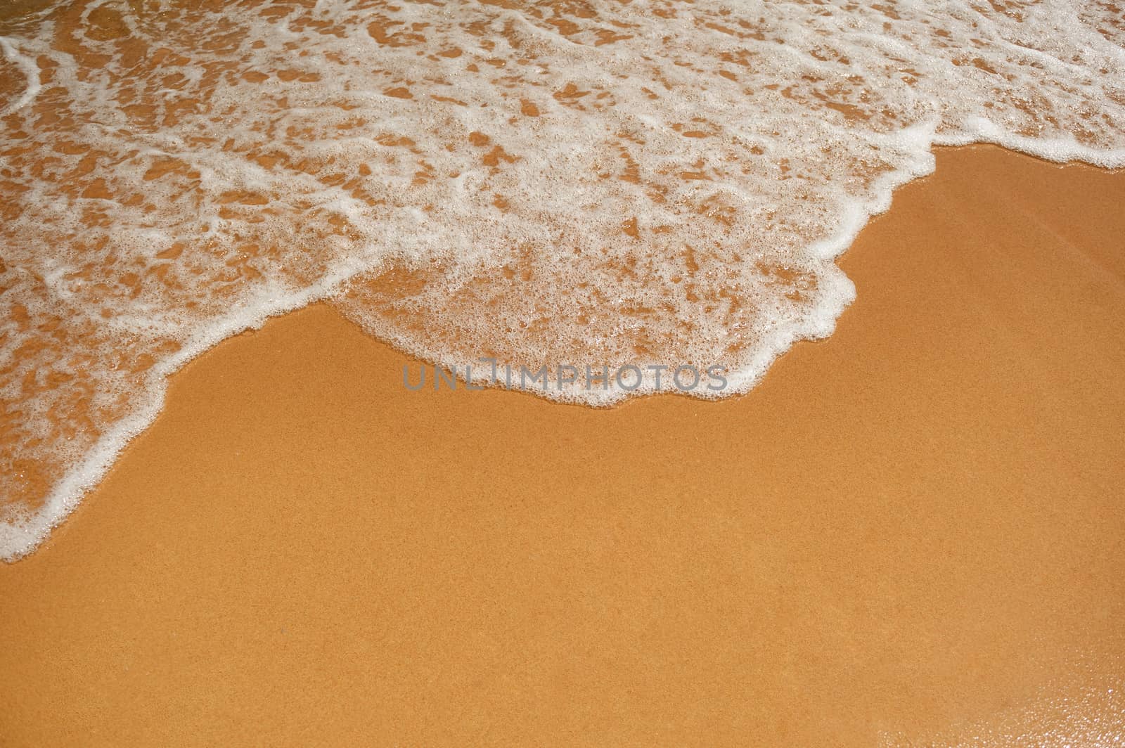 wave and sea sandy beach texture and place for text