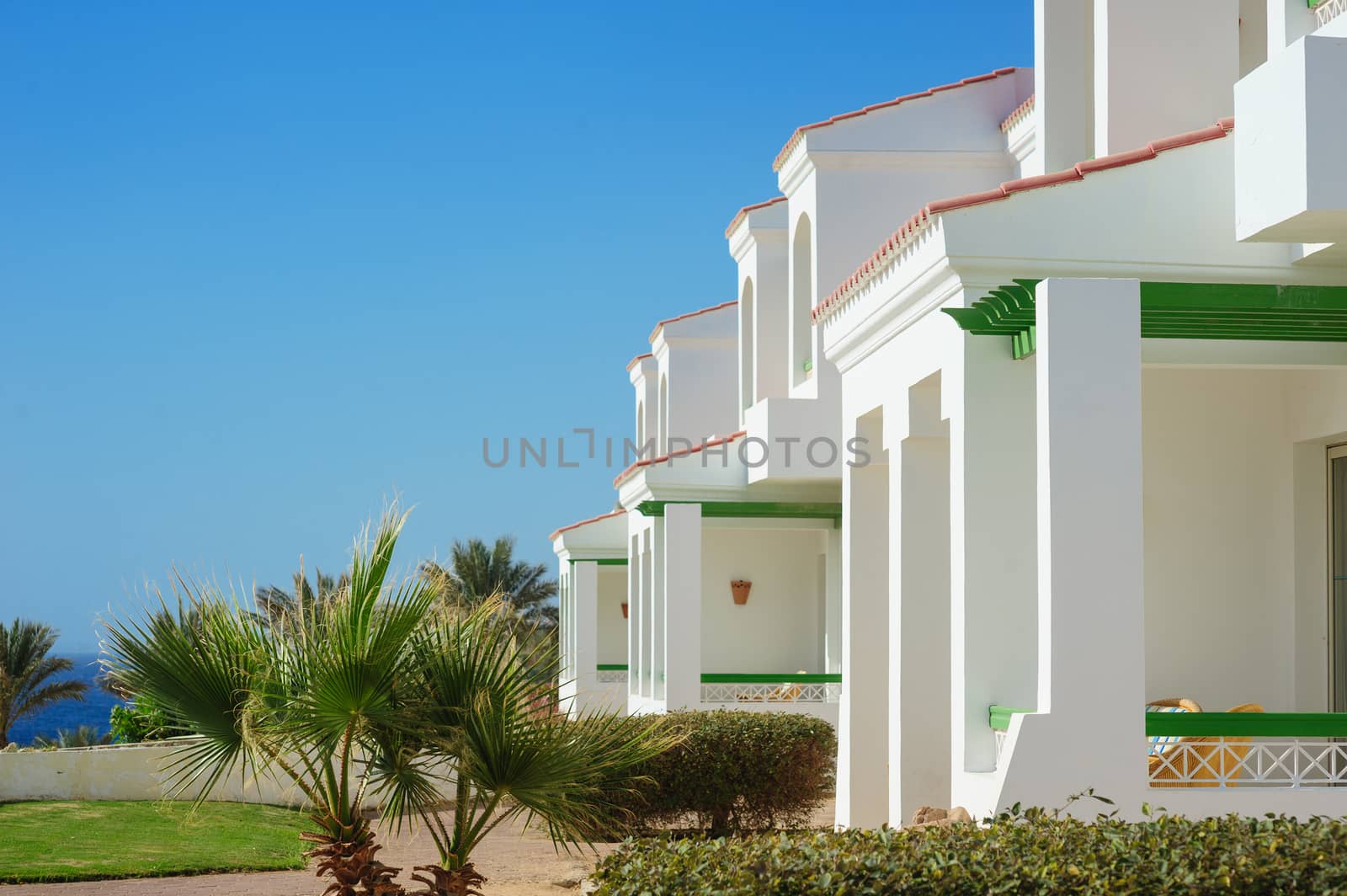 architecture of the white building with palm tree near sea