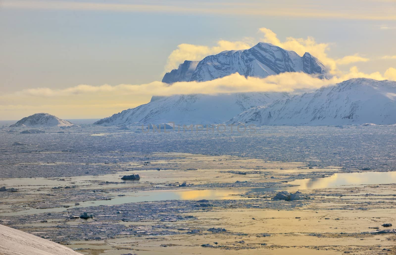 Greenland Fjord with Sea Ice in spring time