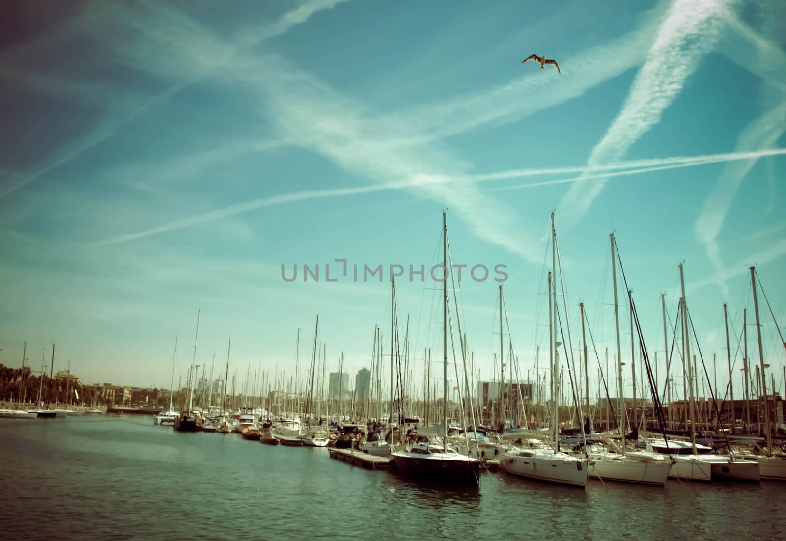 Spain. Barcelona. Yacht club at sunset. A lot of masts
