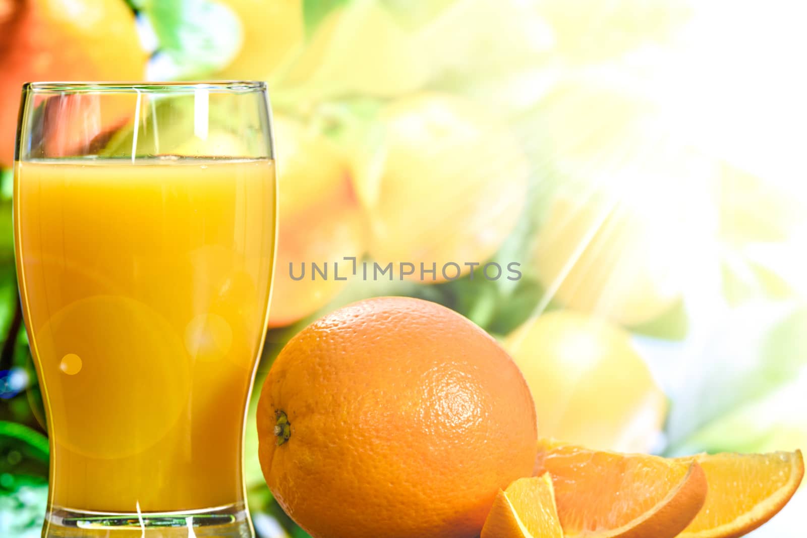 Glass of orange juice and orange pieces on the background of orange plantations in the sun