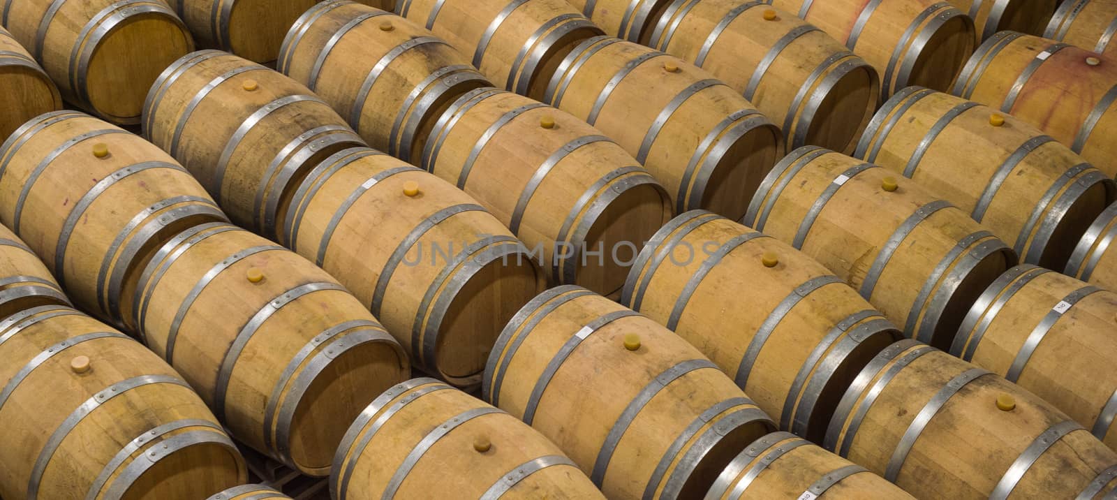 Barrels in Wine Cellar-Bordeaux Wineyard, France, Europe