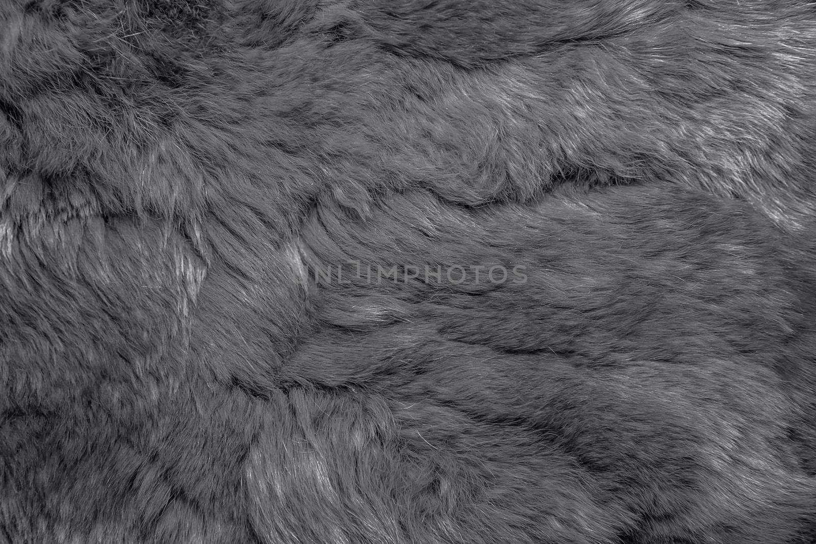 Close-up of lapin colored fur for texture or background