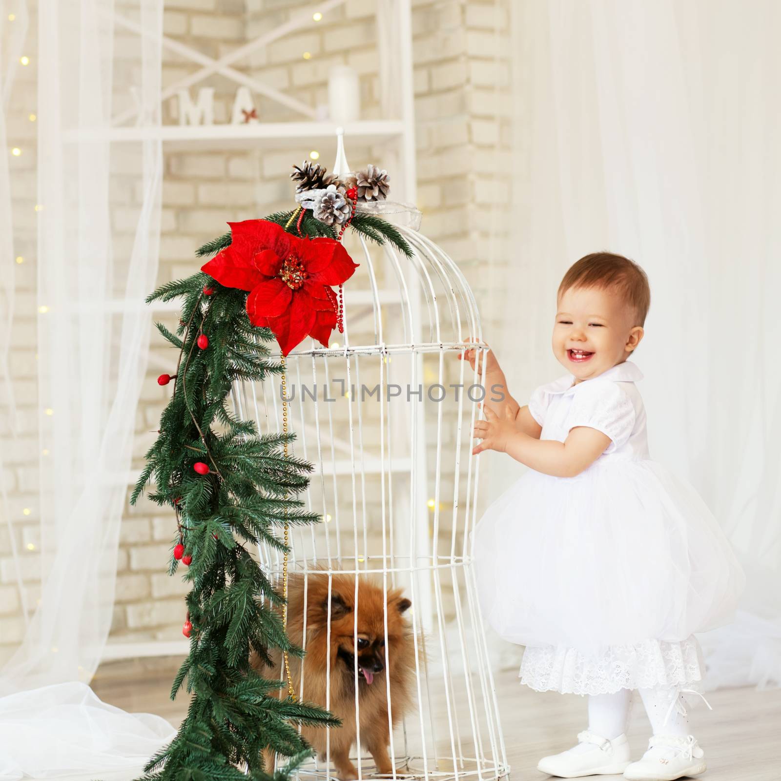 Portrait of a beautiful baby girl playing with a puppy in the interior with Christmas decorations.