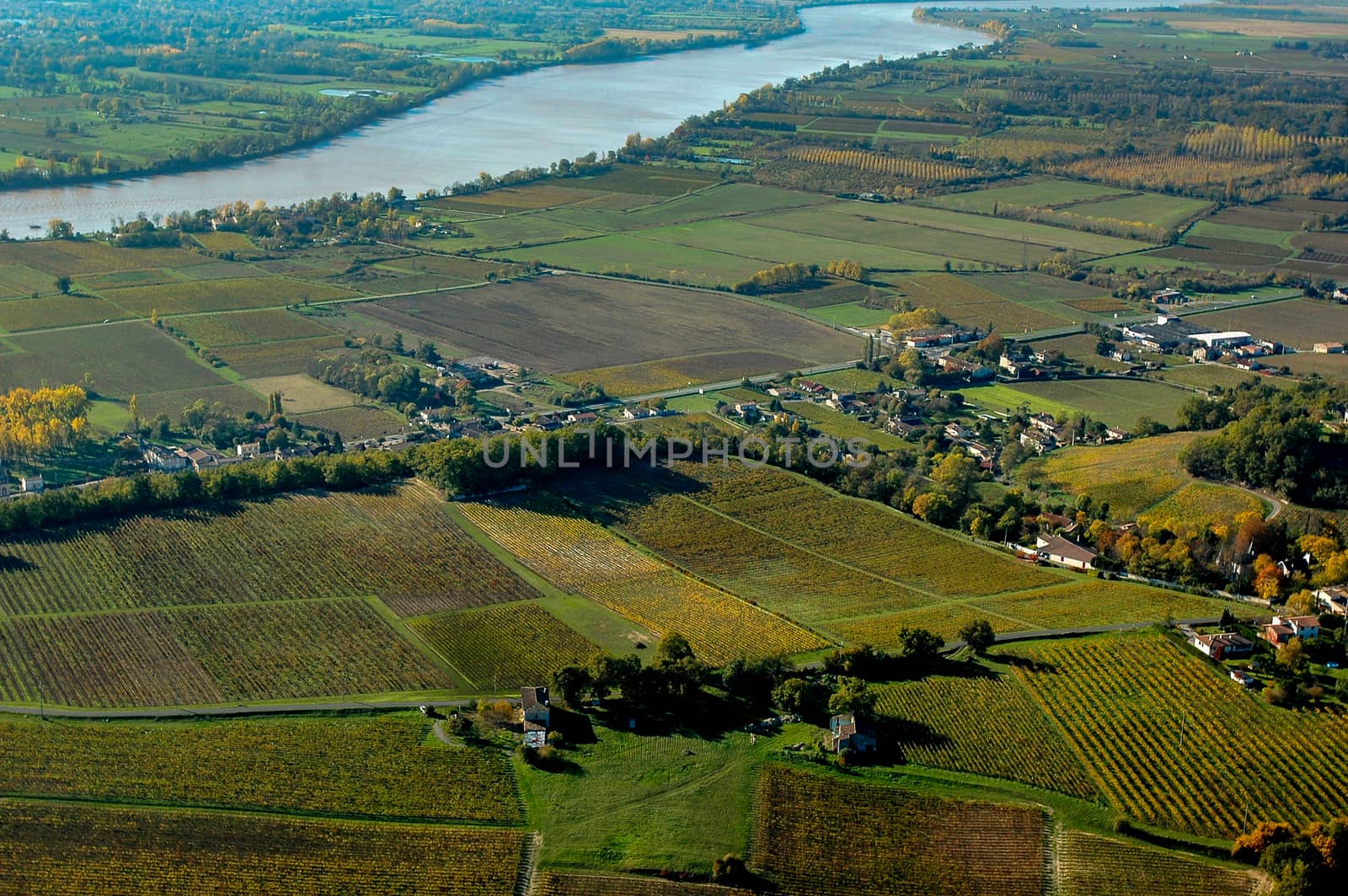 Aerial wiev Fronsac Vineyard landscape, Vineyard south west of France, Europe