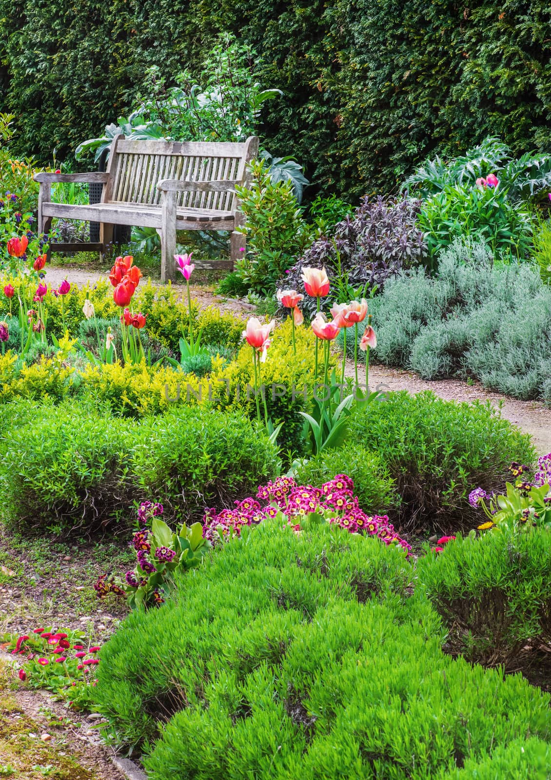 English garden with a walk path leading to empty bench