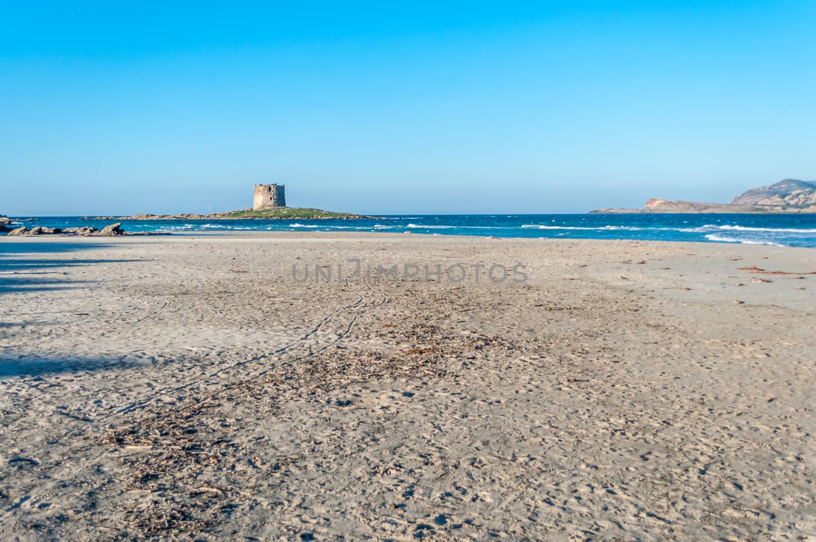 Stintino beach la pelosa in a sunny windy day by replica