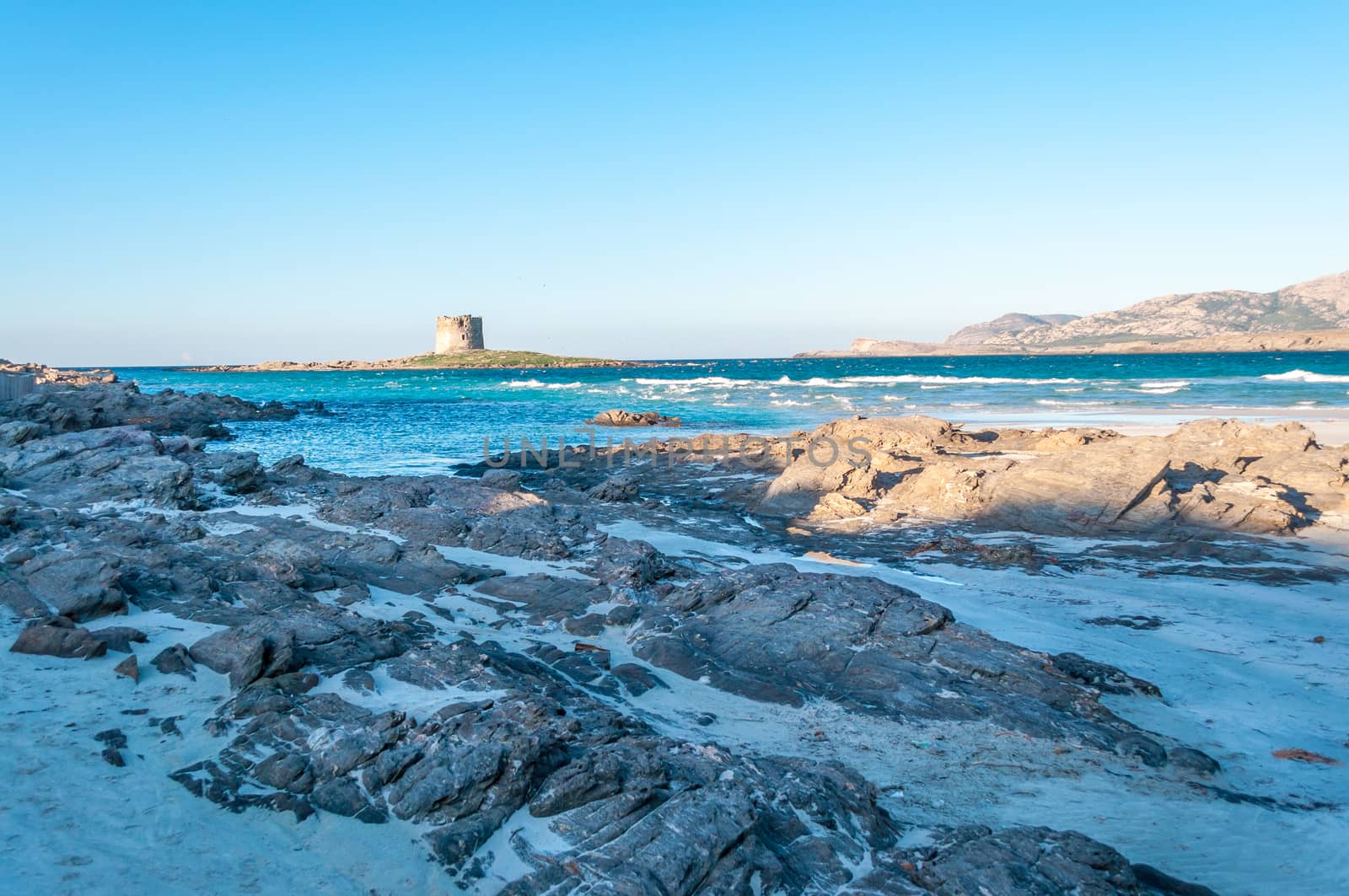 Stintino beach la pelosa in a sunny windy day of winter, sardinia