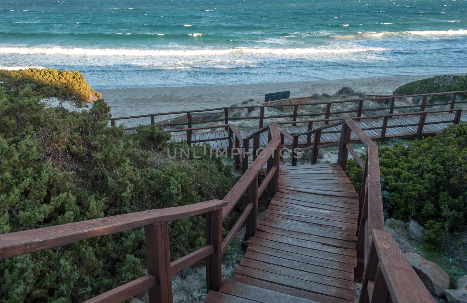 Stintino beach la pelosa in a sunny windy day by replica