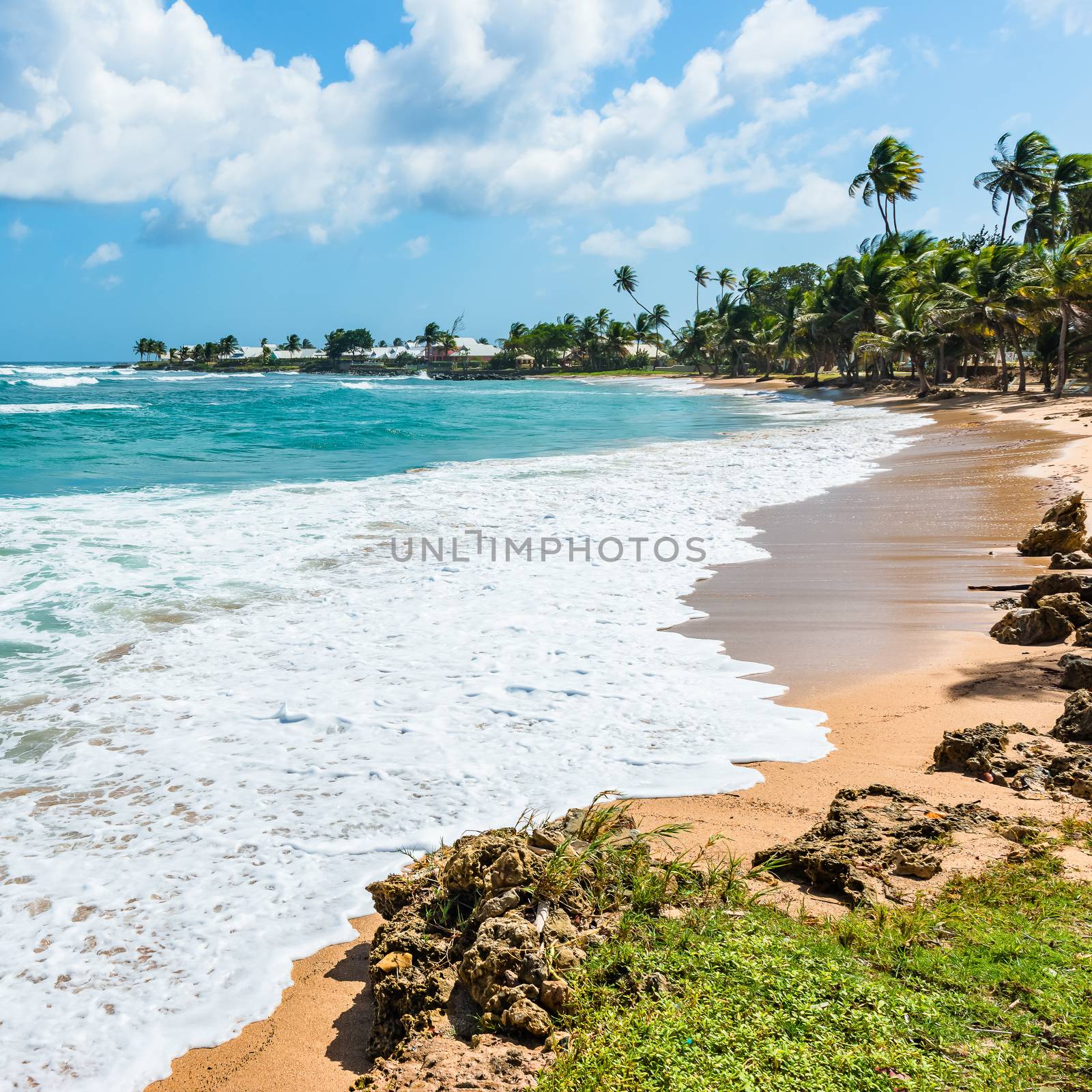 Empty tropical beach Tobago Caribbean square composition