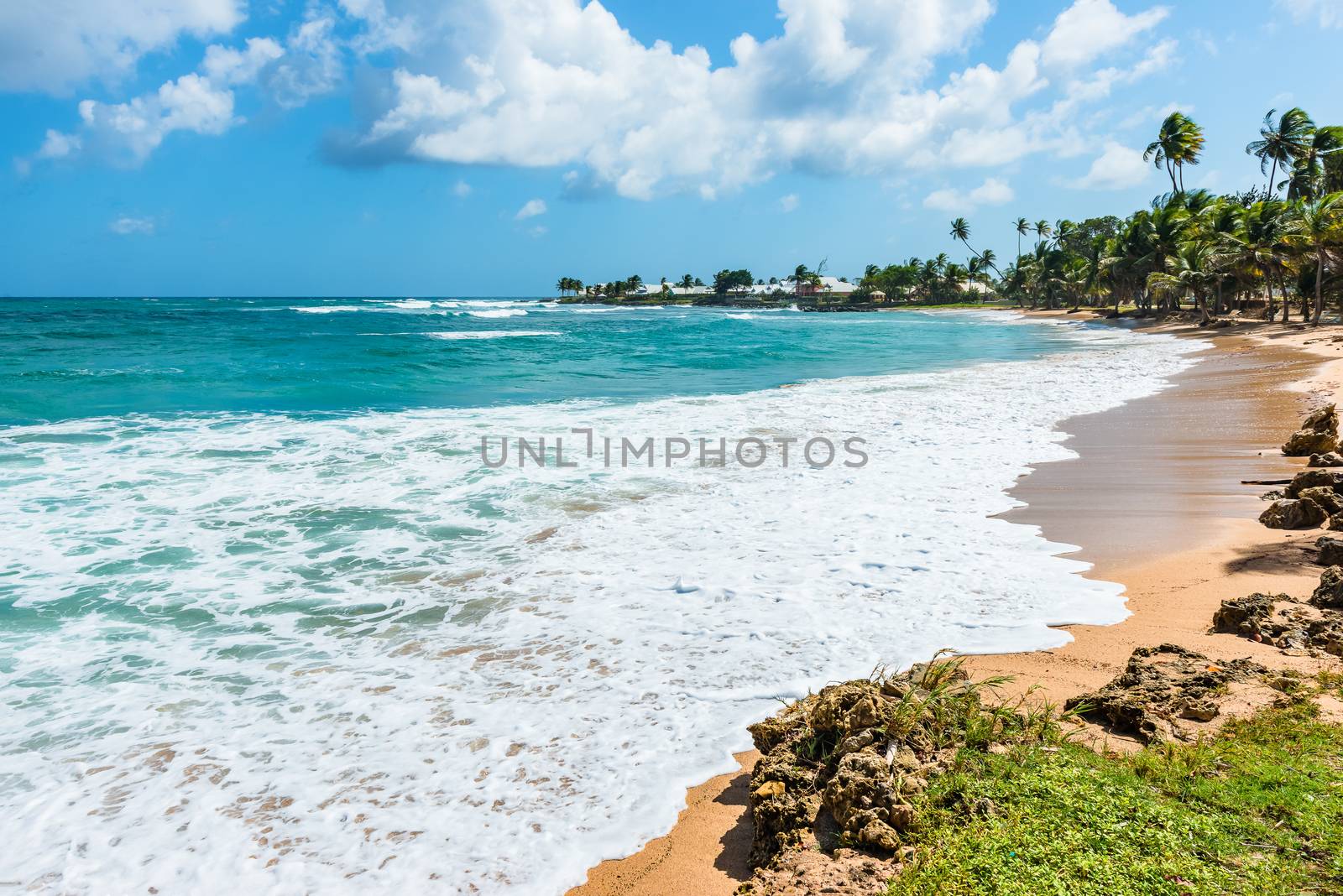 Empty tropical beach Tobago Caribbean by Altinosmanaj