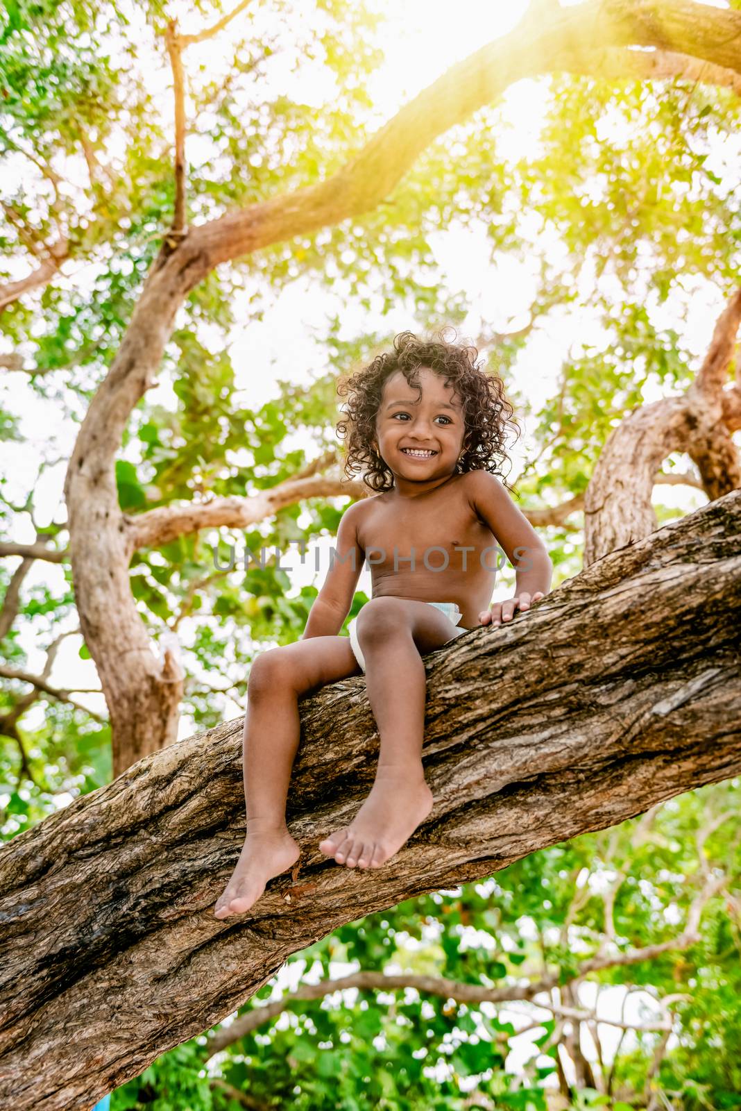 Three years old child sitting on a tree brunch in the jungle forest having fun outdoors by Altinosmanaj