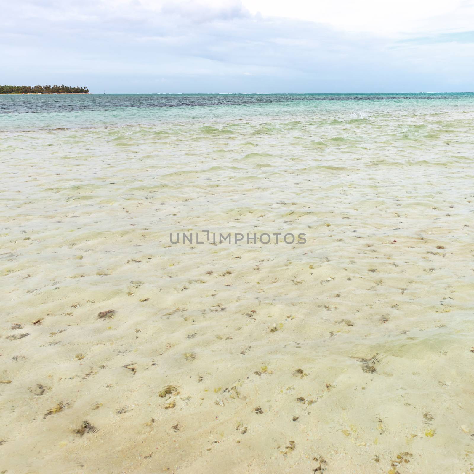 Nylon Pool in Tobago tourist attraction shallow depth of clear sea water covering coral and white sand panoramic view