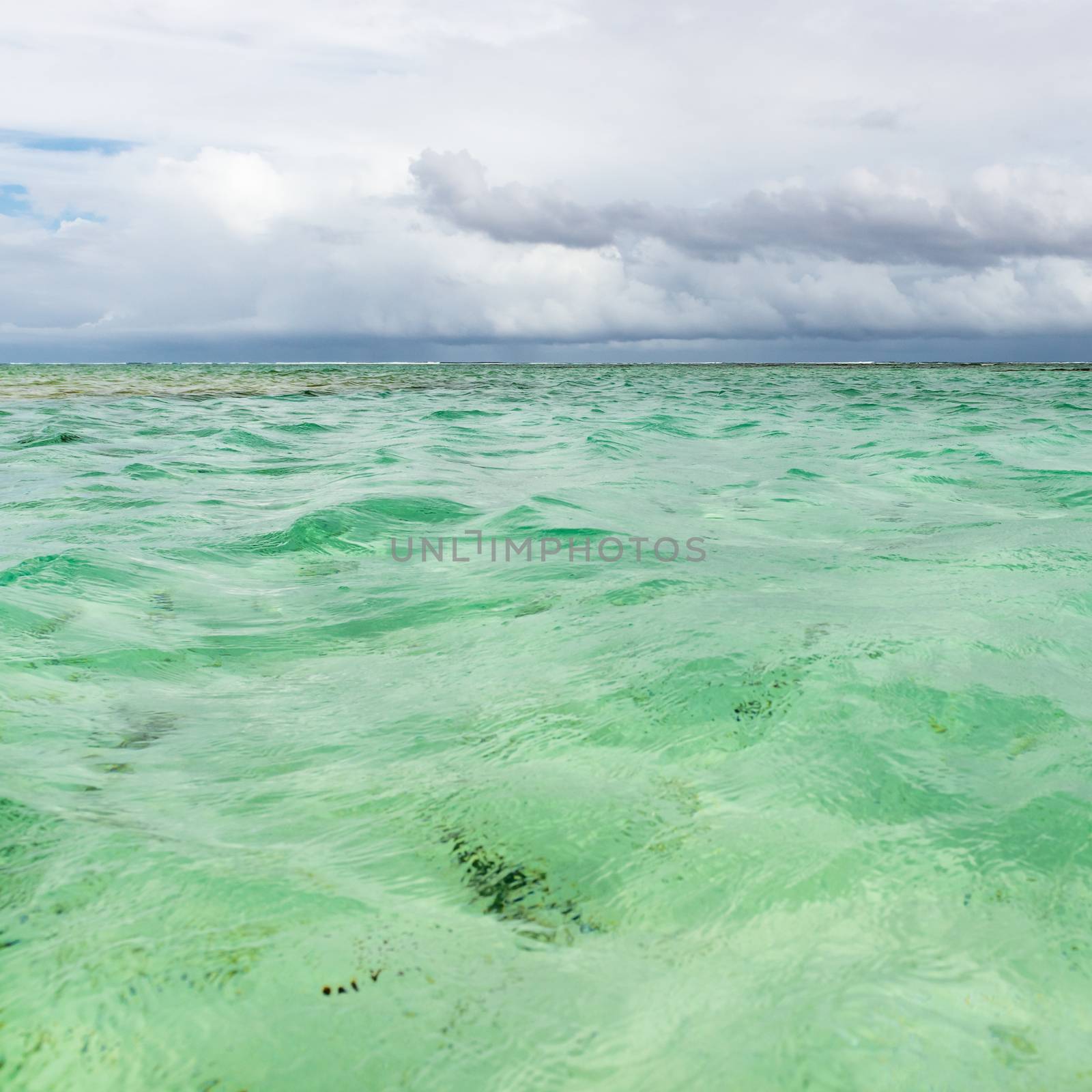 Nylon Pool in Tobago tourist attraction shallow depth of clear sea water covering coral and white sand panoramic view square by Altinosmanaj