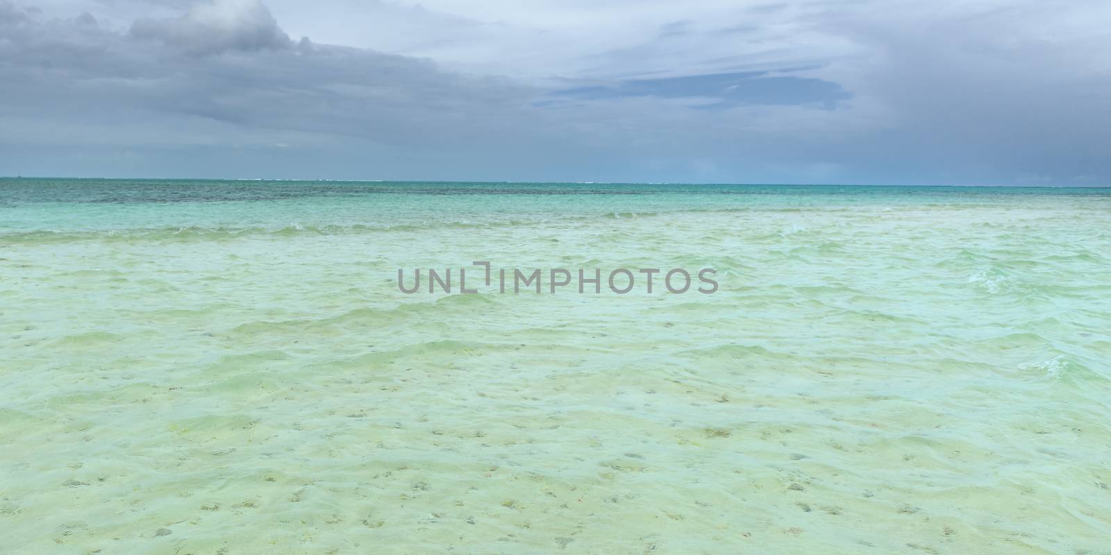 Nylon Pool in Tobago tourist attraction shallow depth of clear sea water covering coral and white sand panoramic view by Altinosmanaj