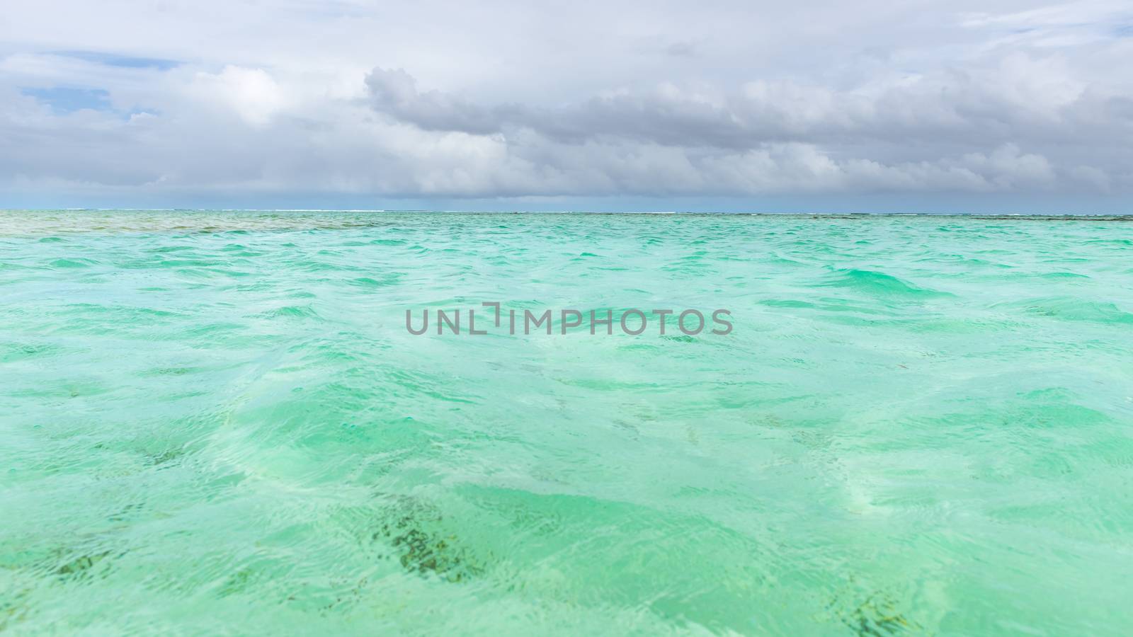 Nylon Pool in Tobago tourist attraction shallow depth of clear sea water covering coral and white sand panoramic view by Altinosmanaj