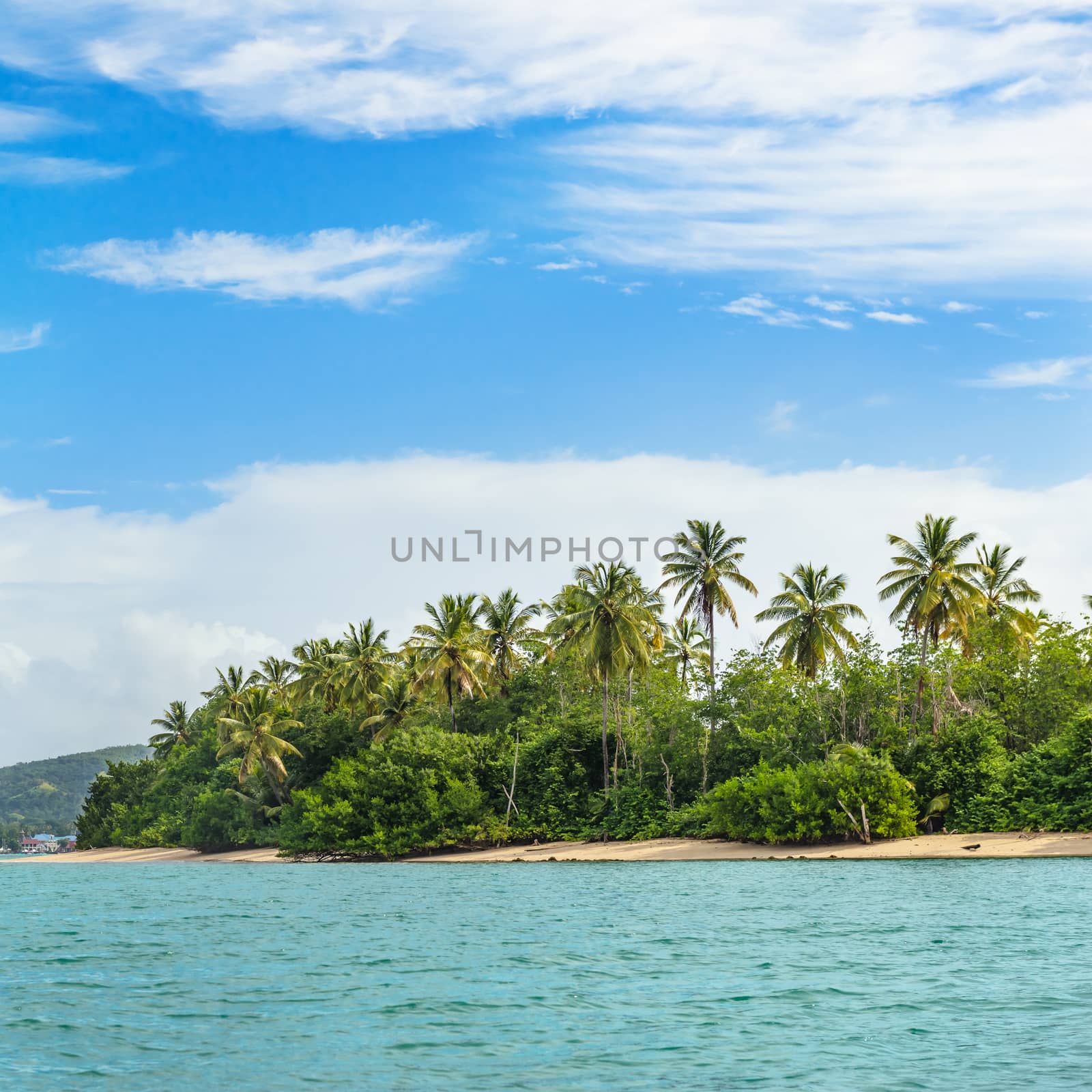 Close view of No Mans Land in Tobago West Indies tropical island square by Altinosmanaj