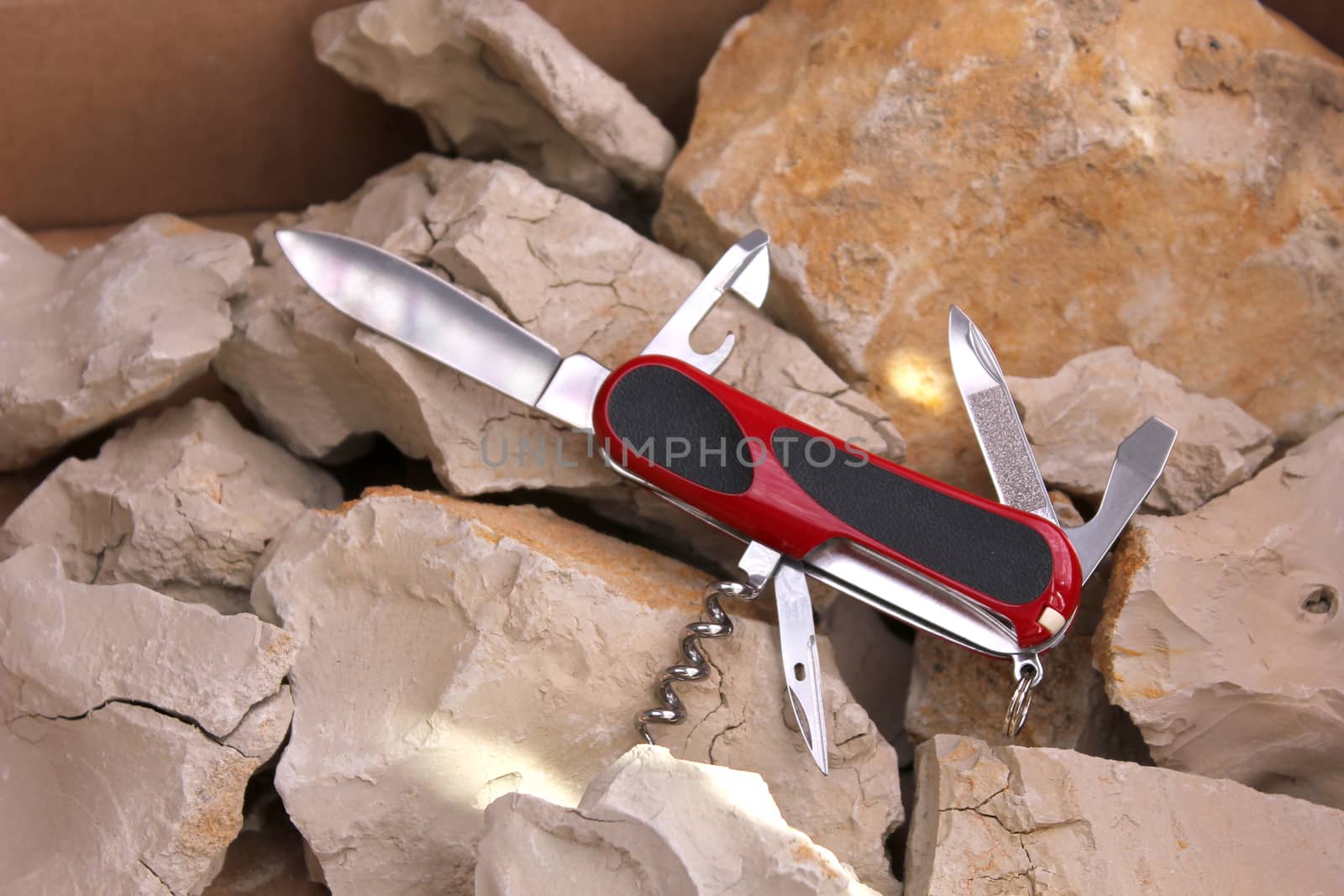 Penknife for the hidden carrying, as a collecting subject