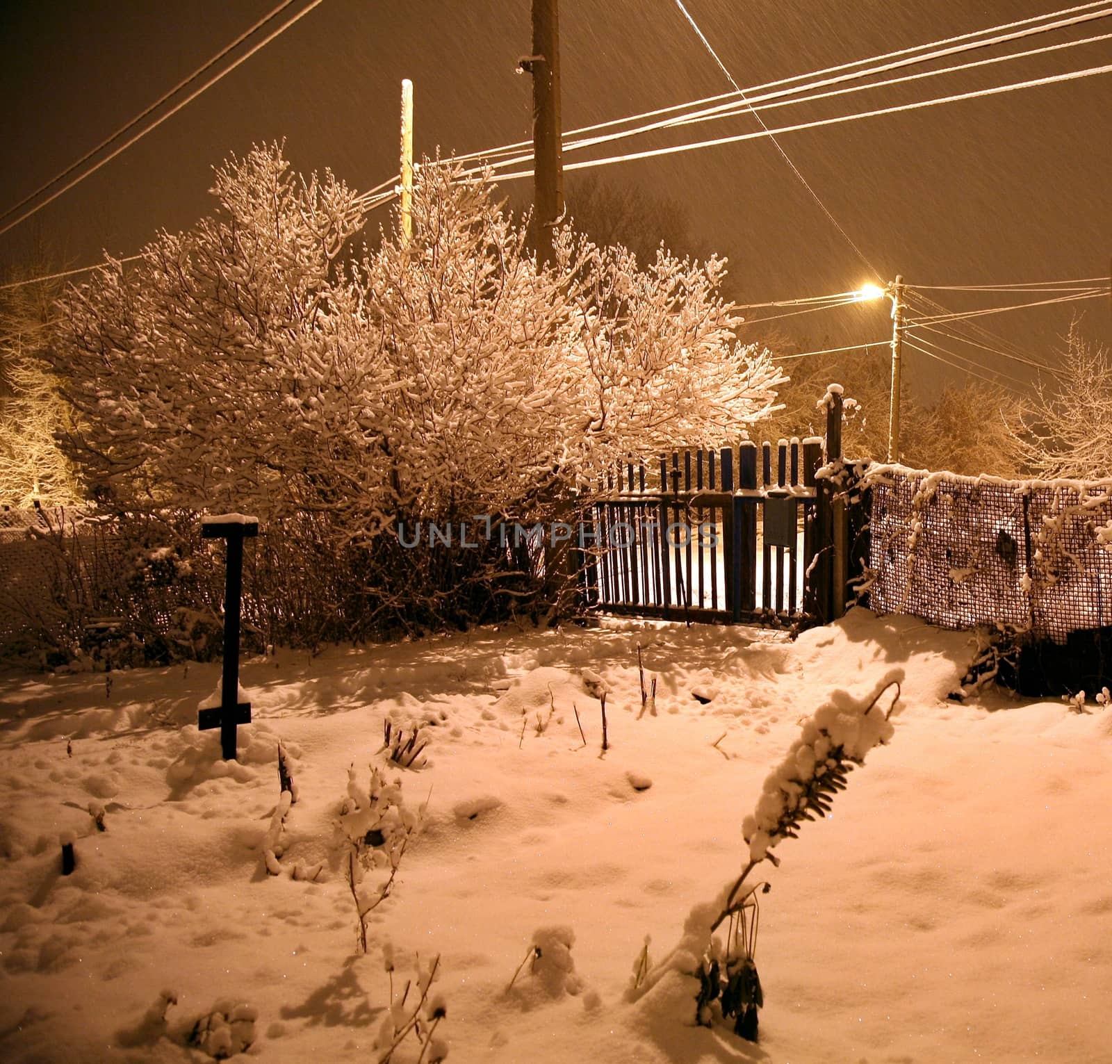 Winter cottages in country landscape at night with glowing lamp light