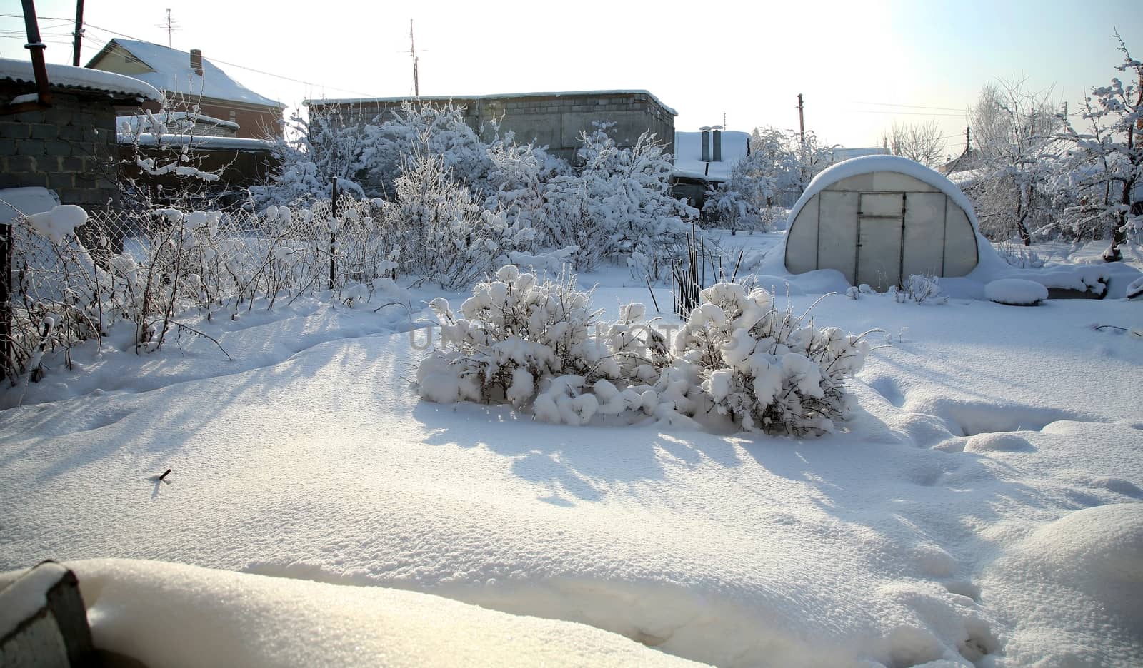 covered with snow the garden against the sun