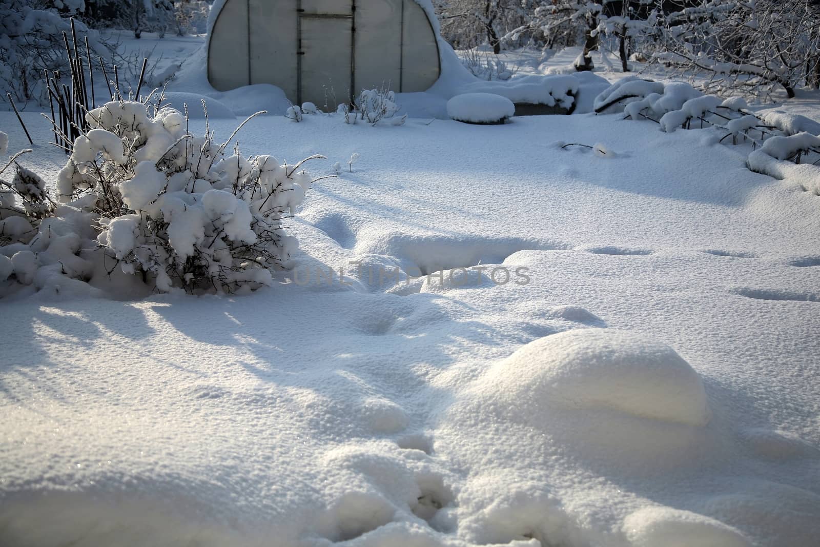 covered with snow the garden against the sun
