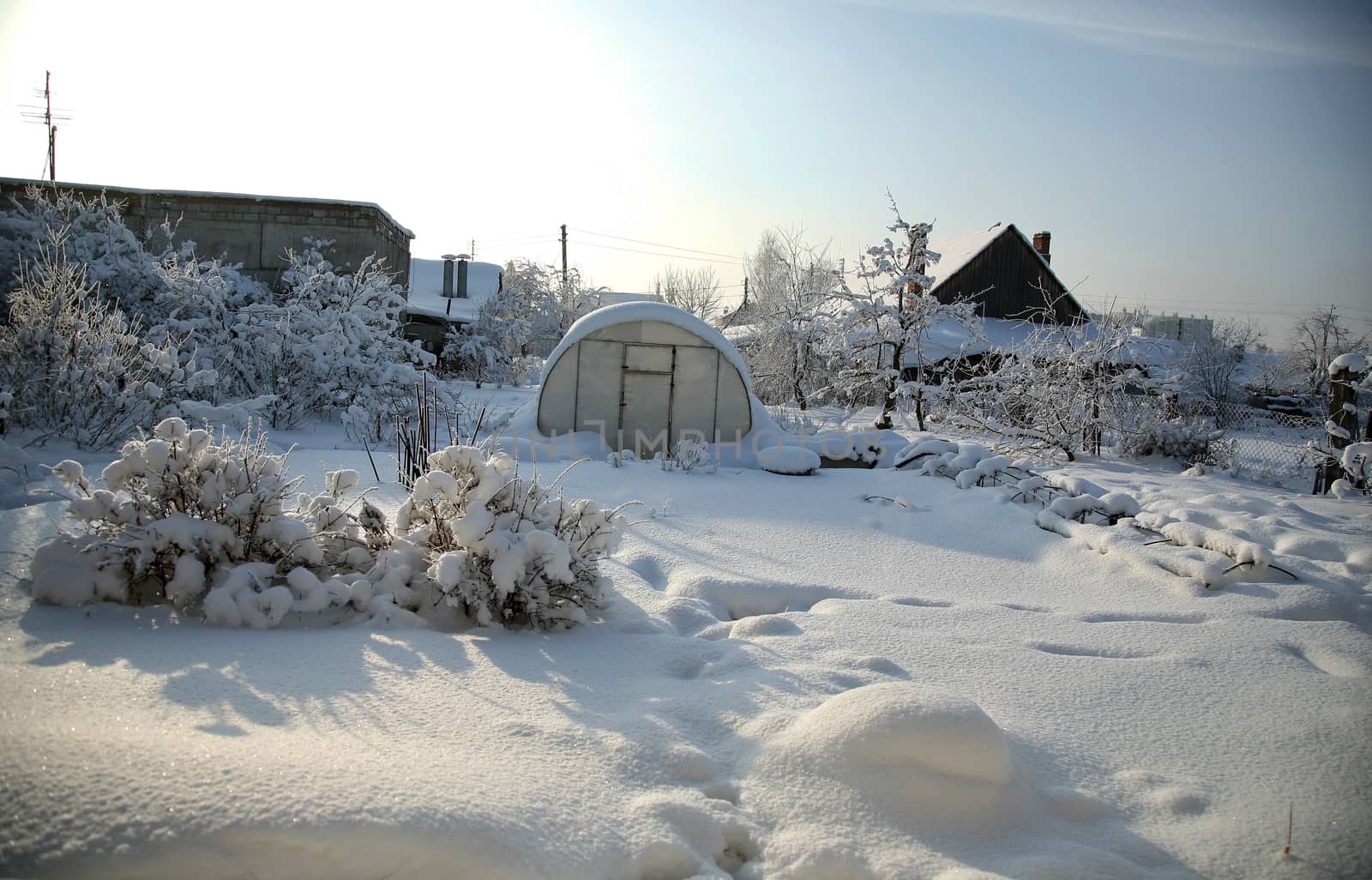 covered with snow the garden against the sun