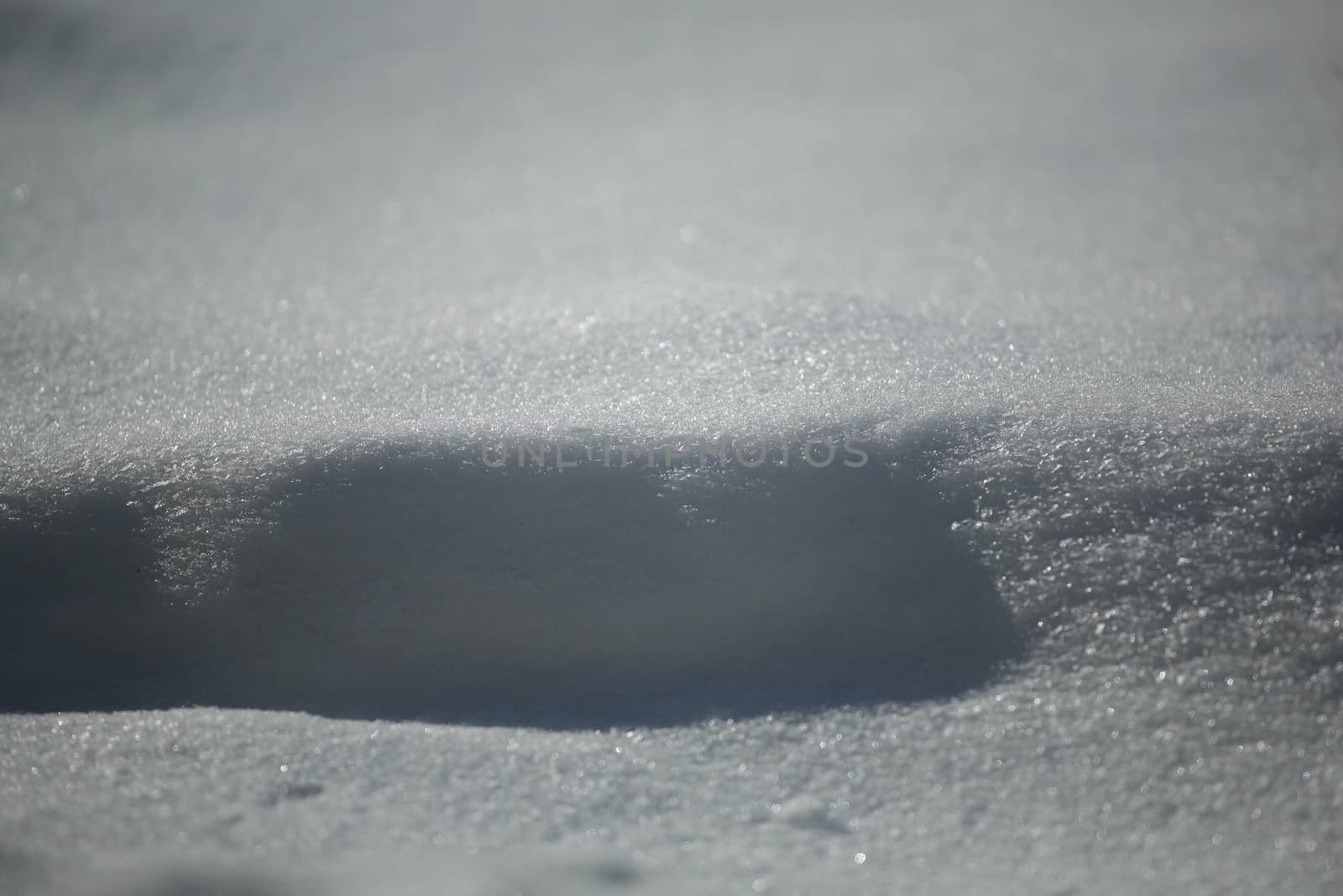 Background of wavy fresh snow with blue tint