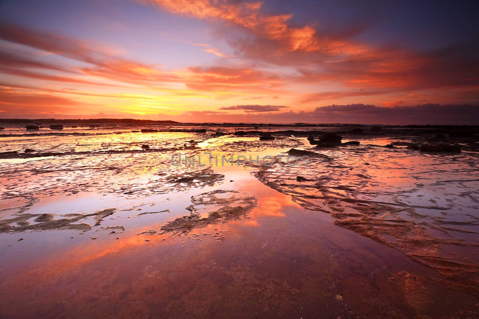 Sunrise skies reflecting on the exposed rock shelf at Long Reef, Northern Beaches, Australia