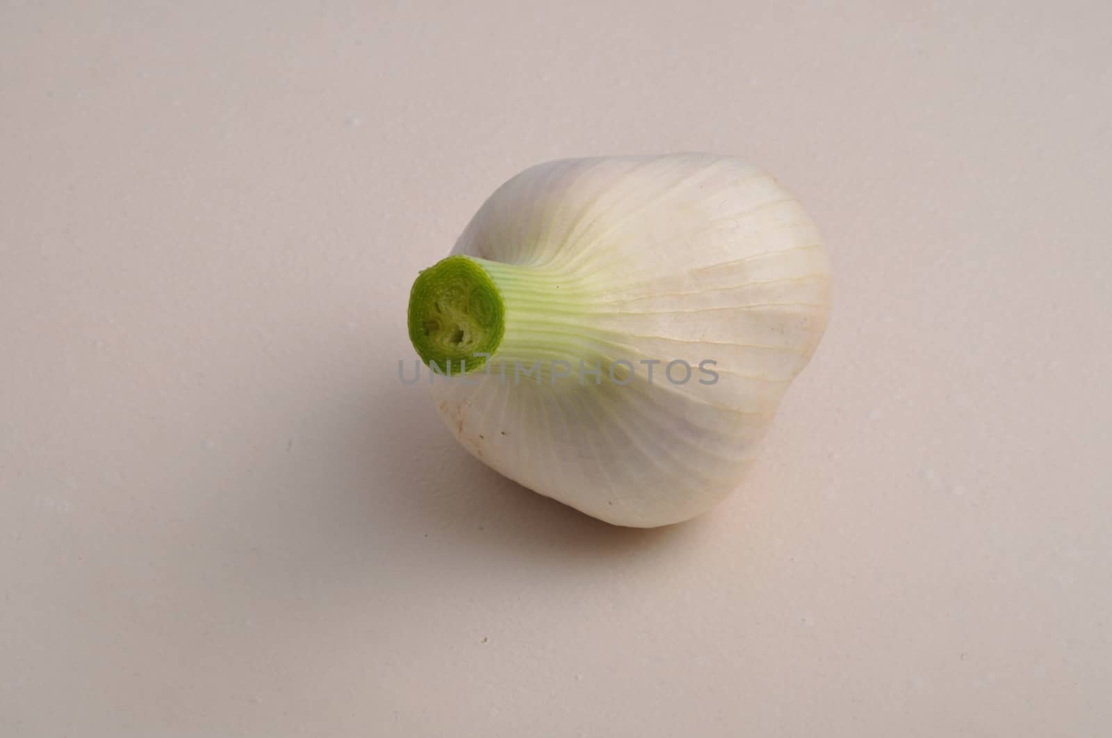 Fresh garlic  on white background
