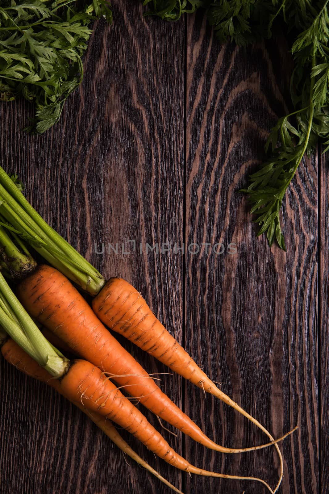 Freshly grown carrots on wooden table