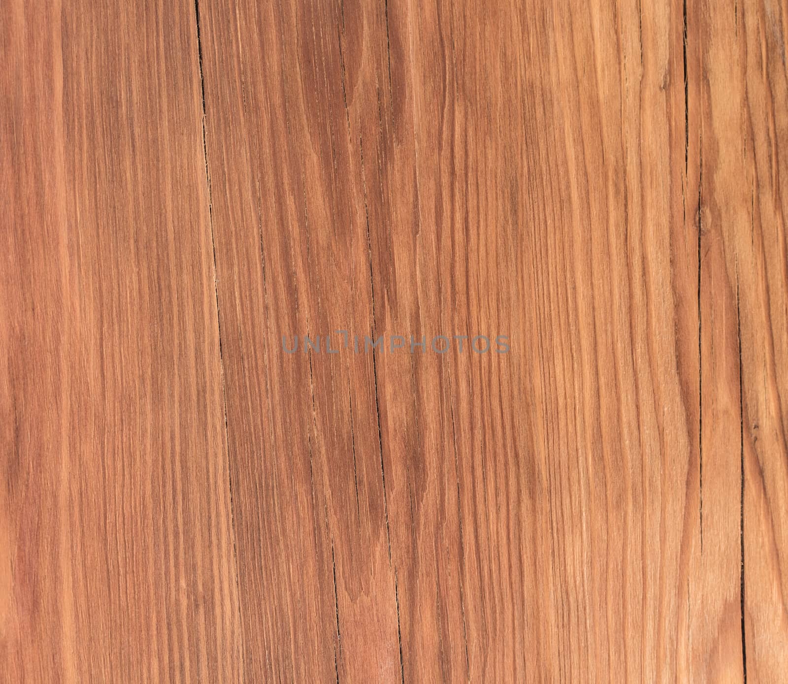 abstract background texture of old wooden planks