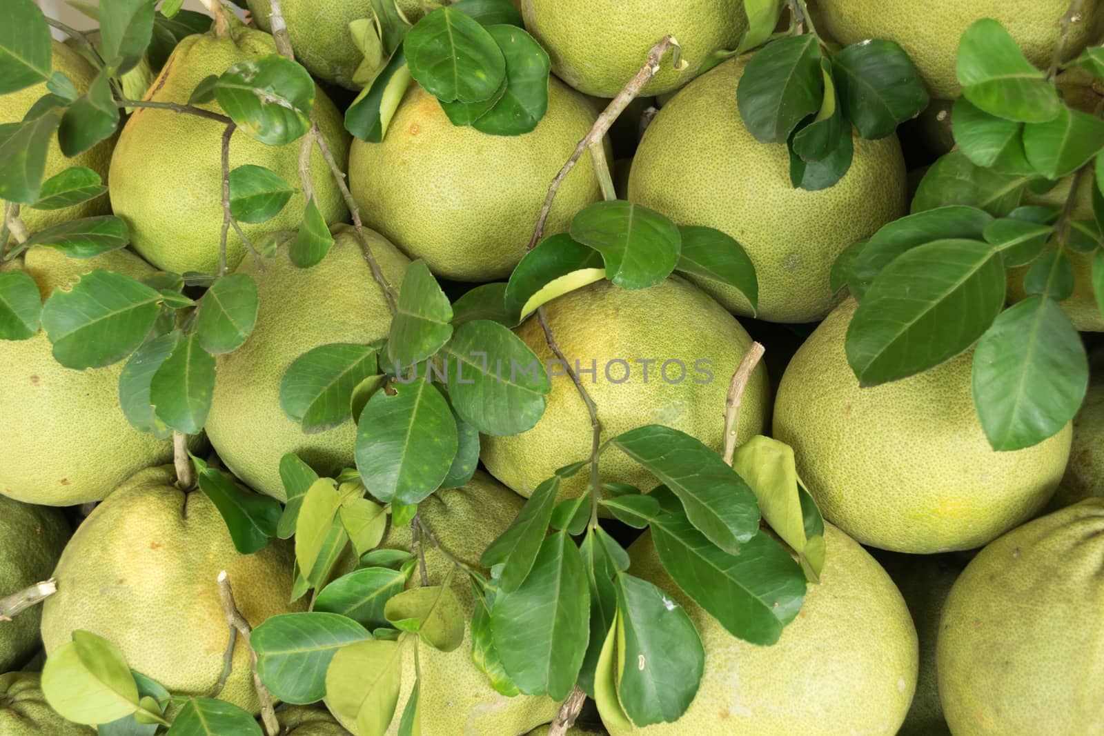 Pomelo fruit  sold in the market in Thailand.