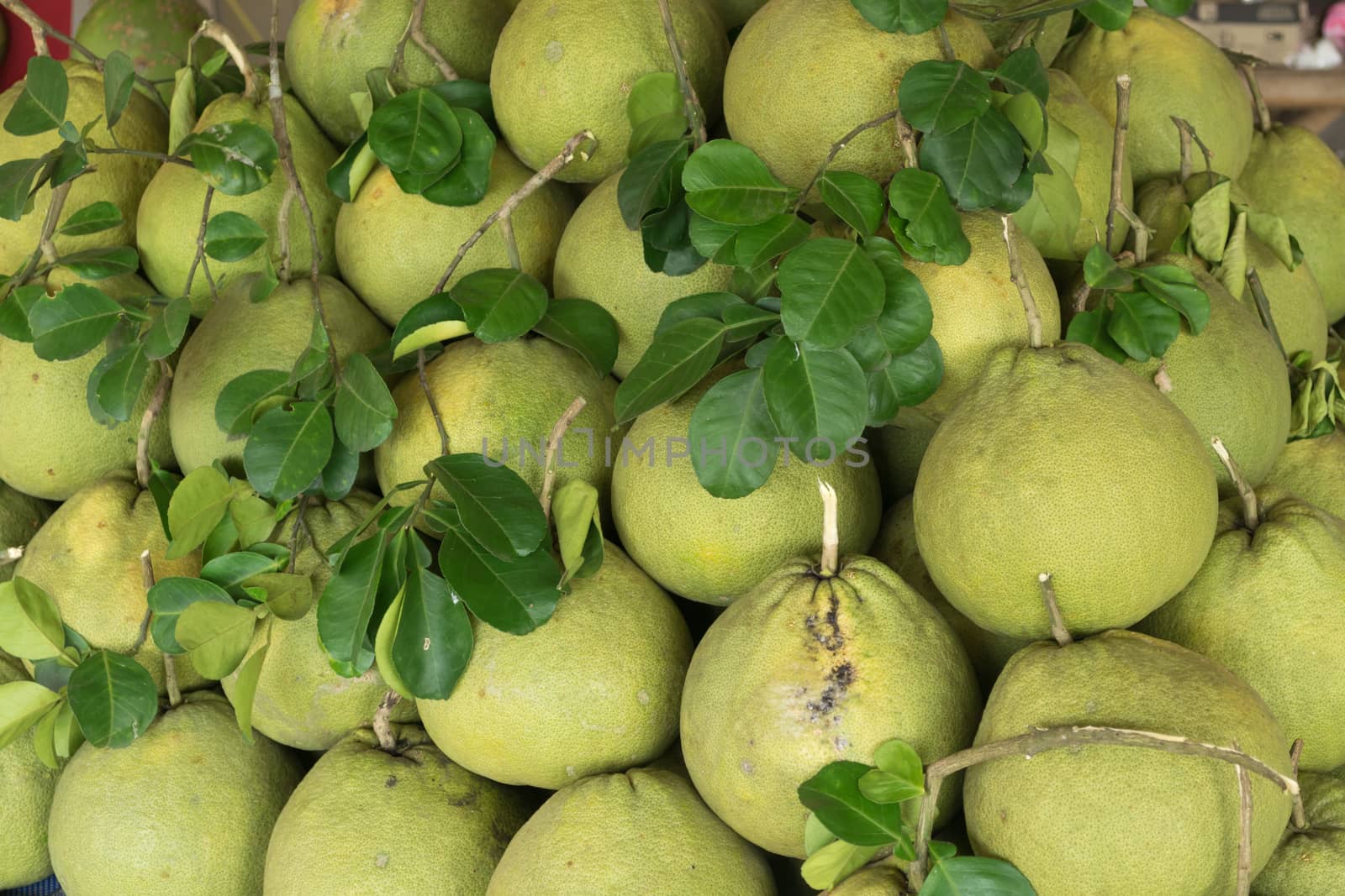 Pomelo fruit  sold in the market in Thailand.