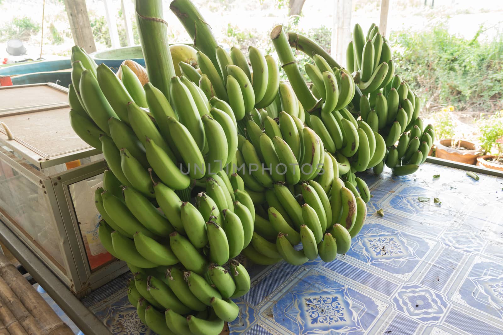 Banana on the table