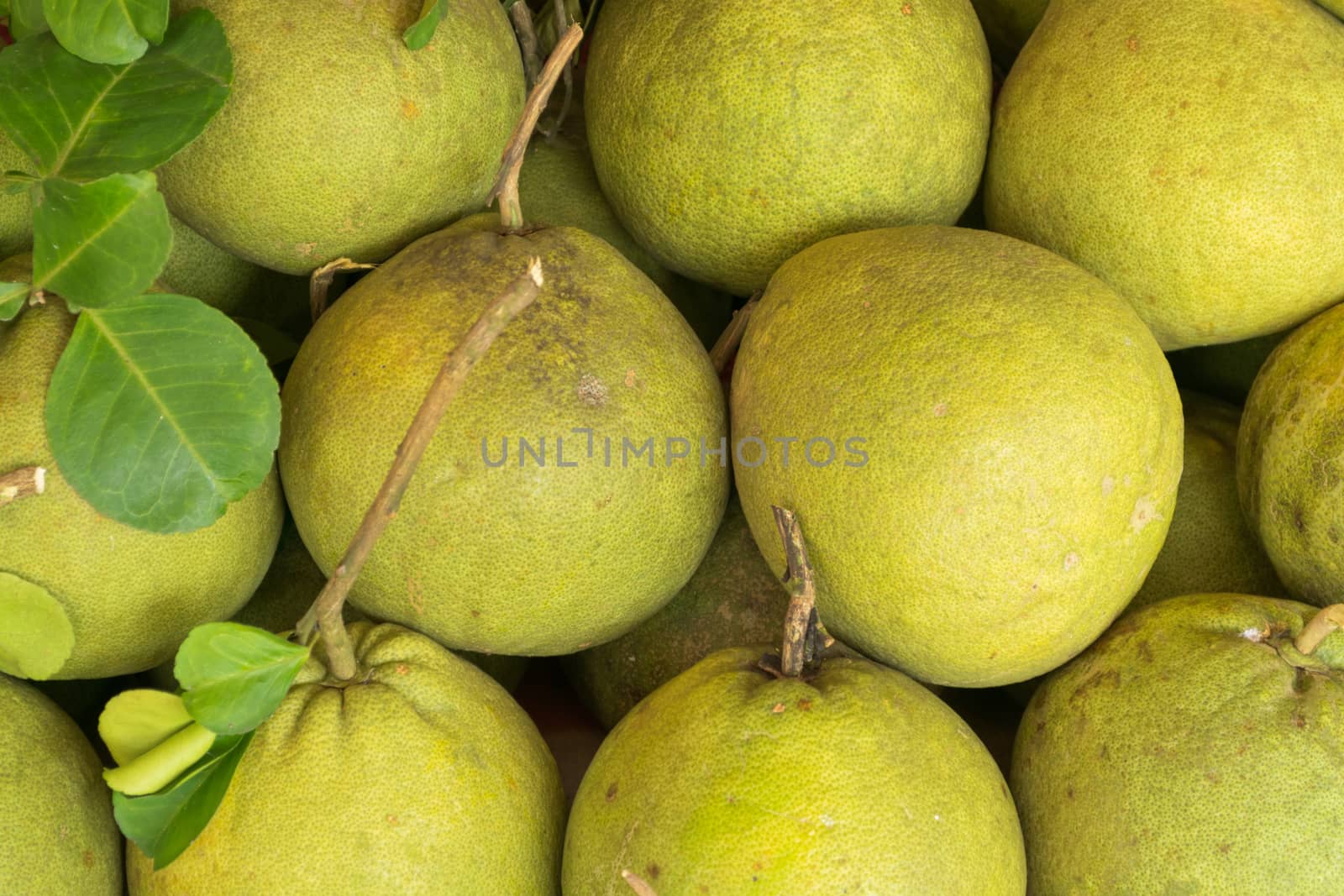 Pomelo fruit  sold in the market in Thailand.