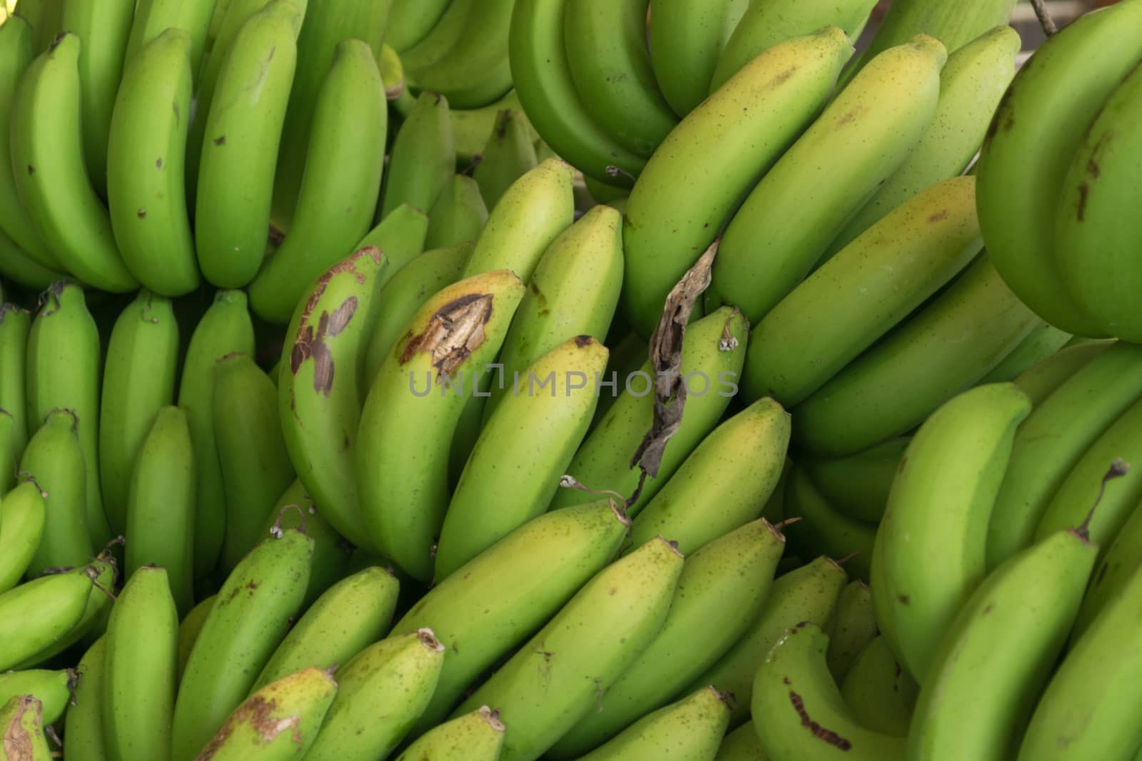 Heap of green banana