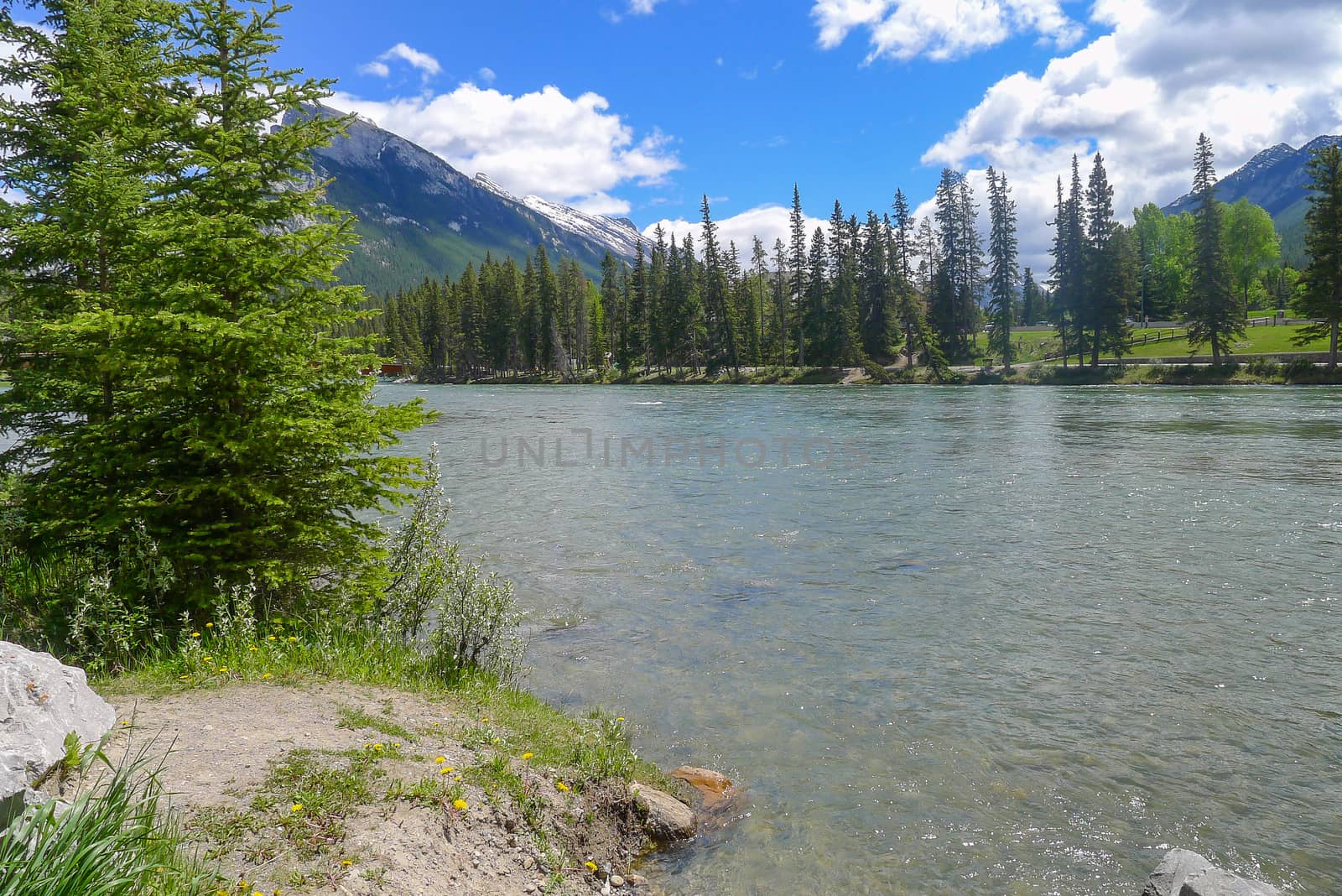 Bow River running around and through Banff