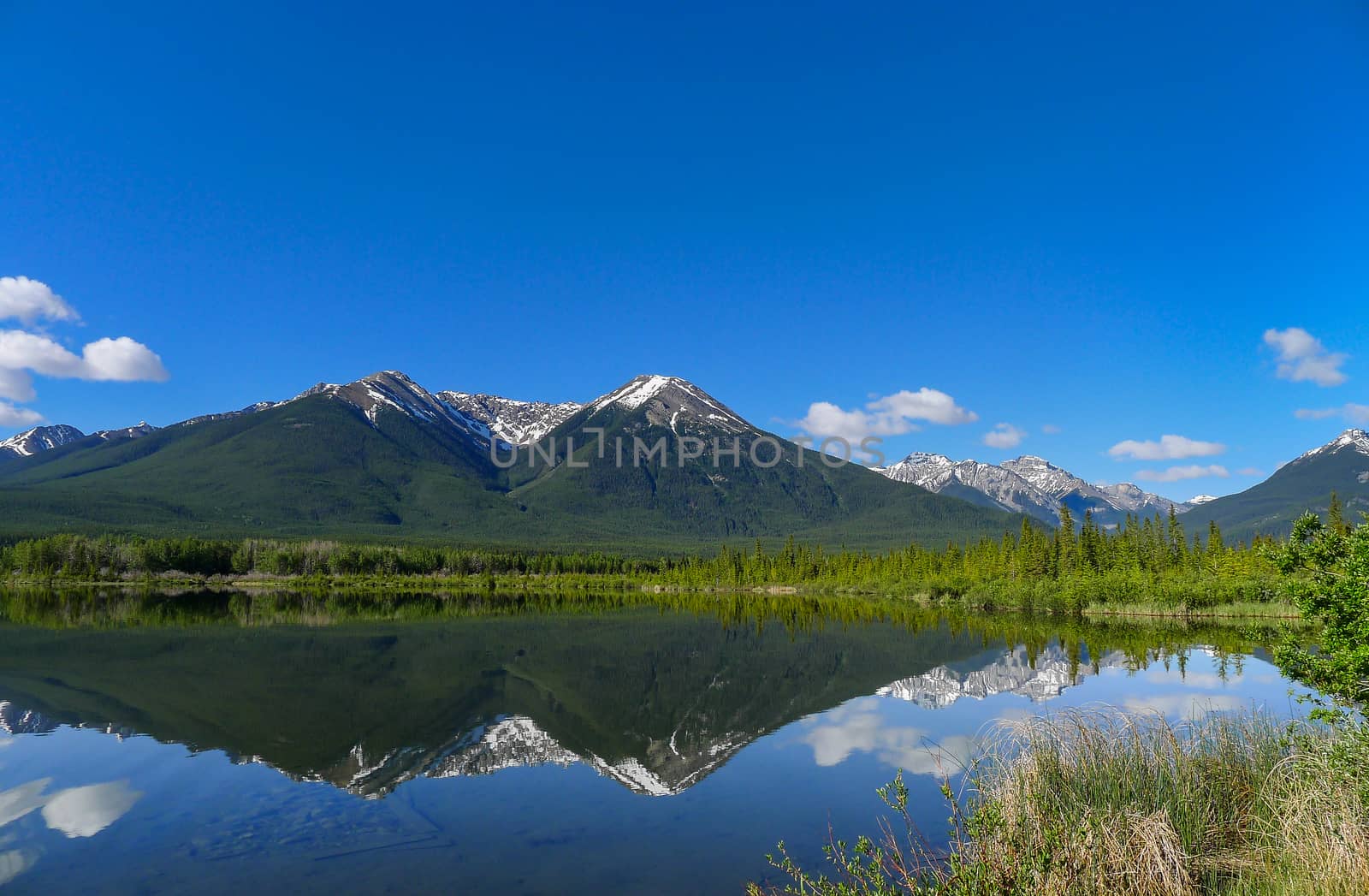 The Vermilion Lakes are a series of lakes located immediately west of Banff, Alberta, in the Canadian Rocky Mountains.