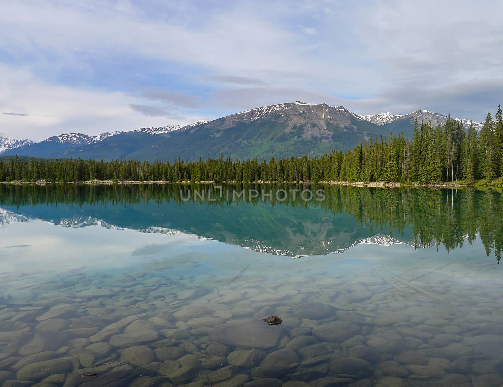 Reflected serene view in Jasper Canada