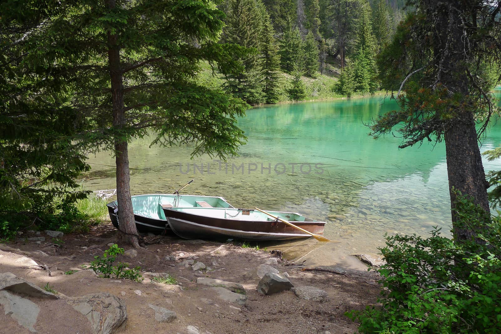 Emerald Lakes of the Five Valleys Loop in Jasper Canada