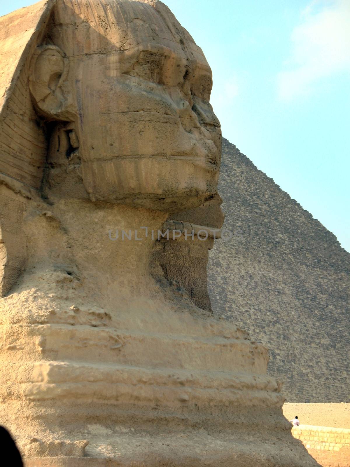 Great Coloss Famous Sphinx in sunny day, Giza, Egypt