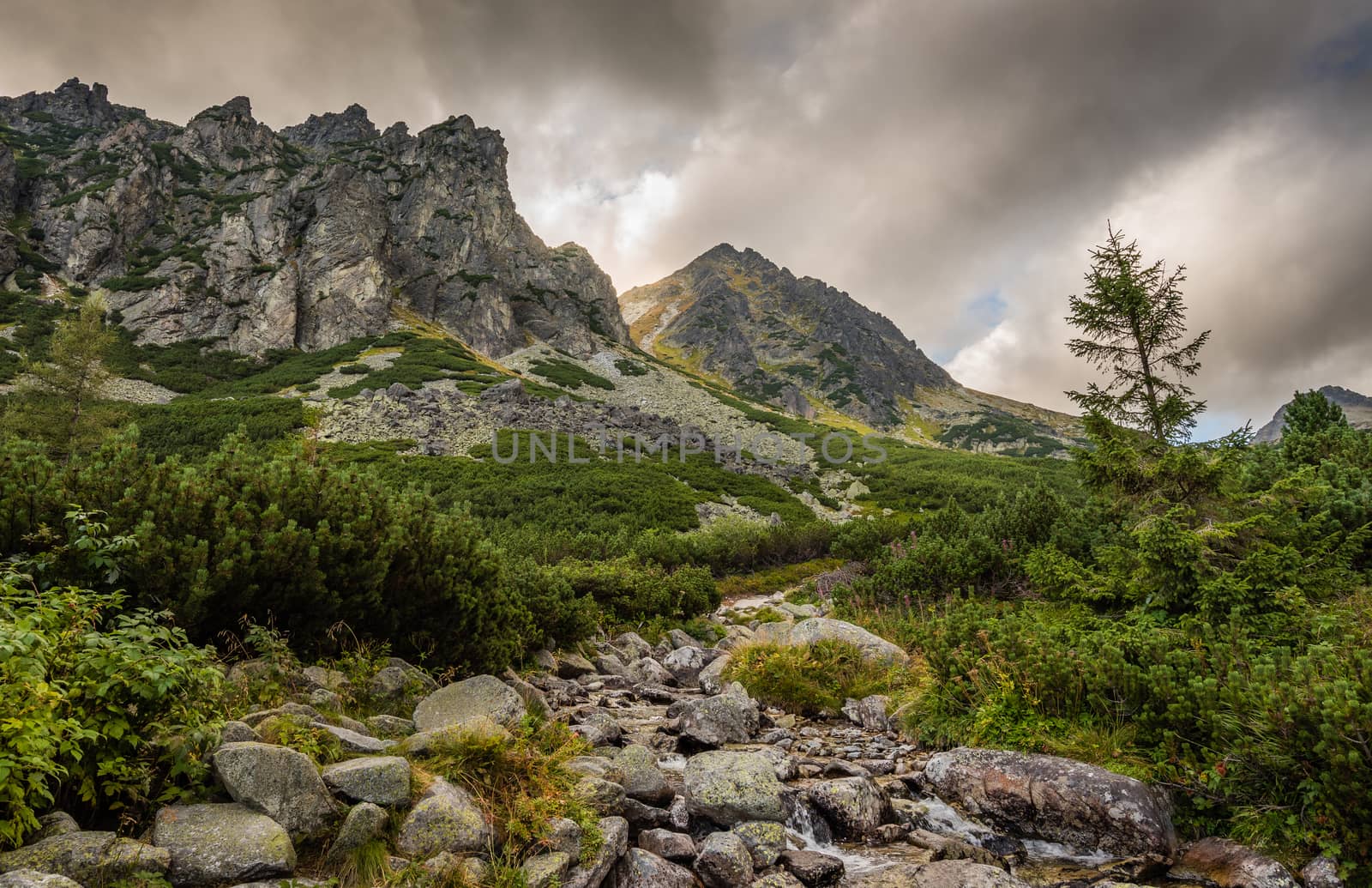 Mountain Landscape with a Creek and Rocks in Foreground on Cloudy Day. Mlynicka Valley, High Tatra, Slovakia.