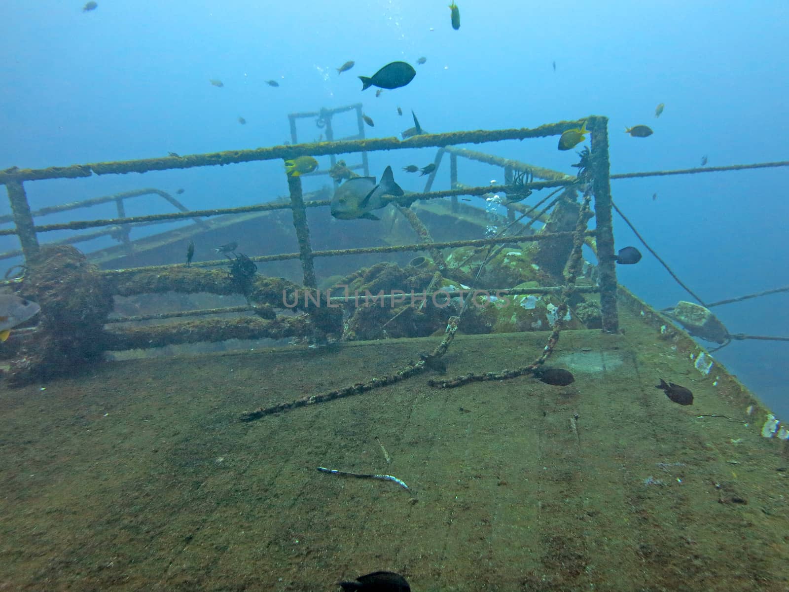 massive shipwreck, sits on a sandy seafloor in bali