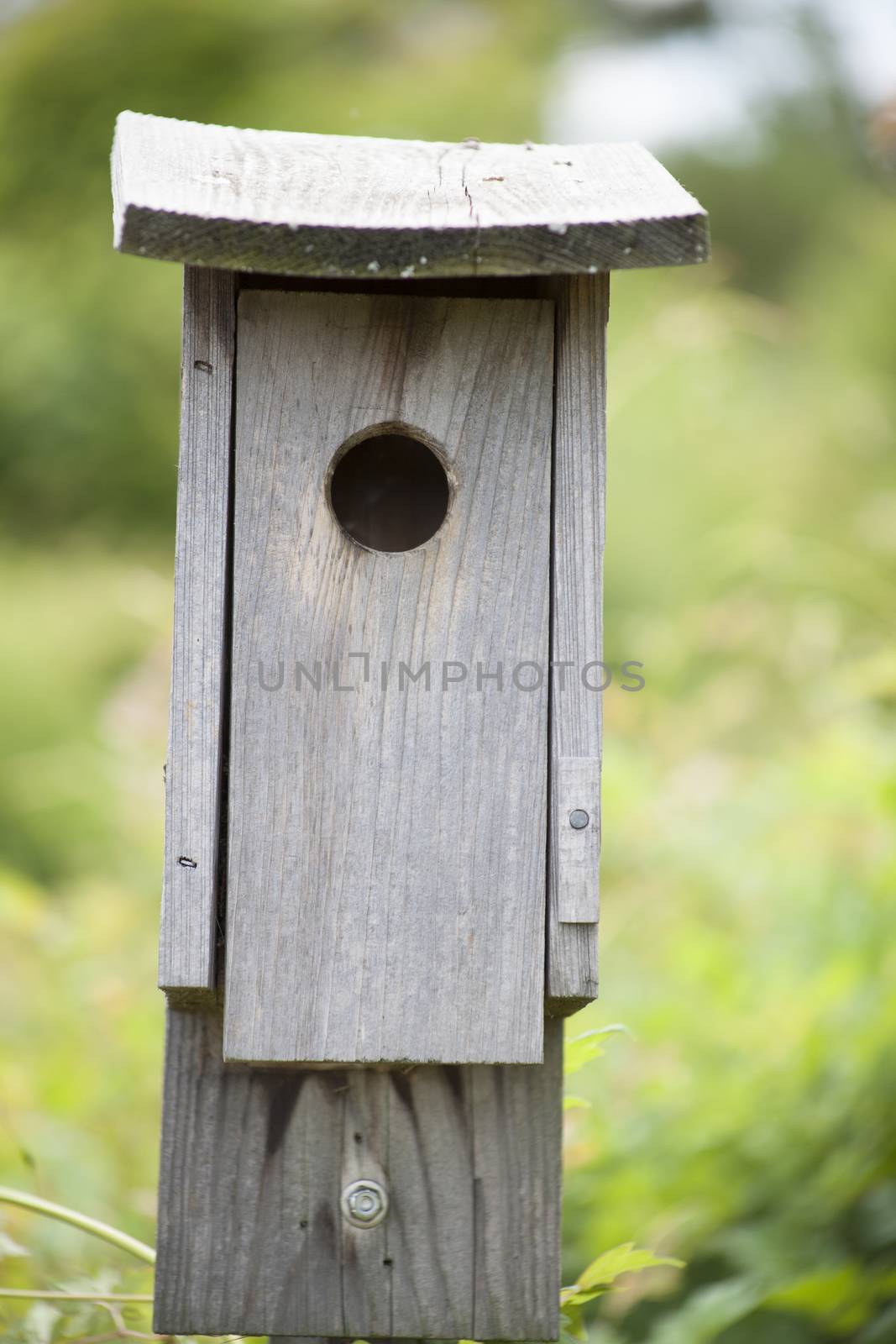 Wooden birdhouse in nature