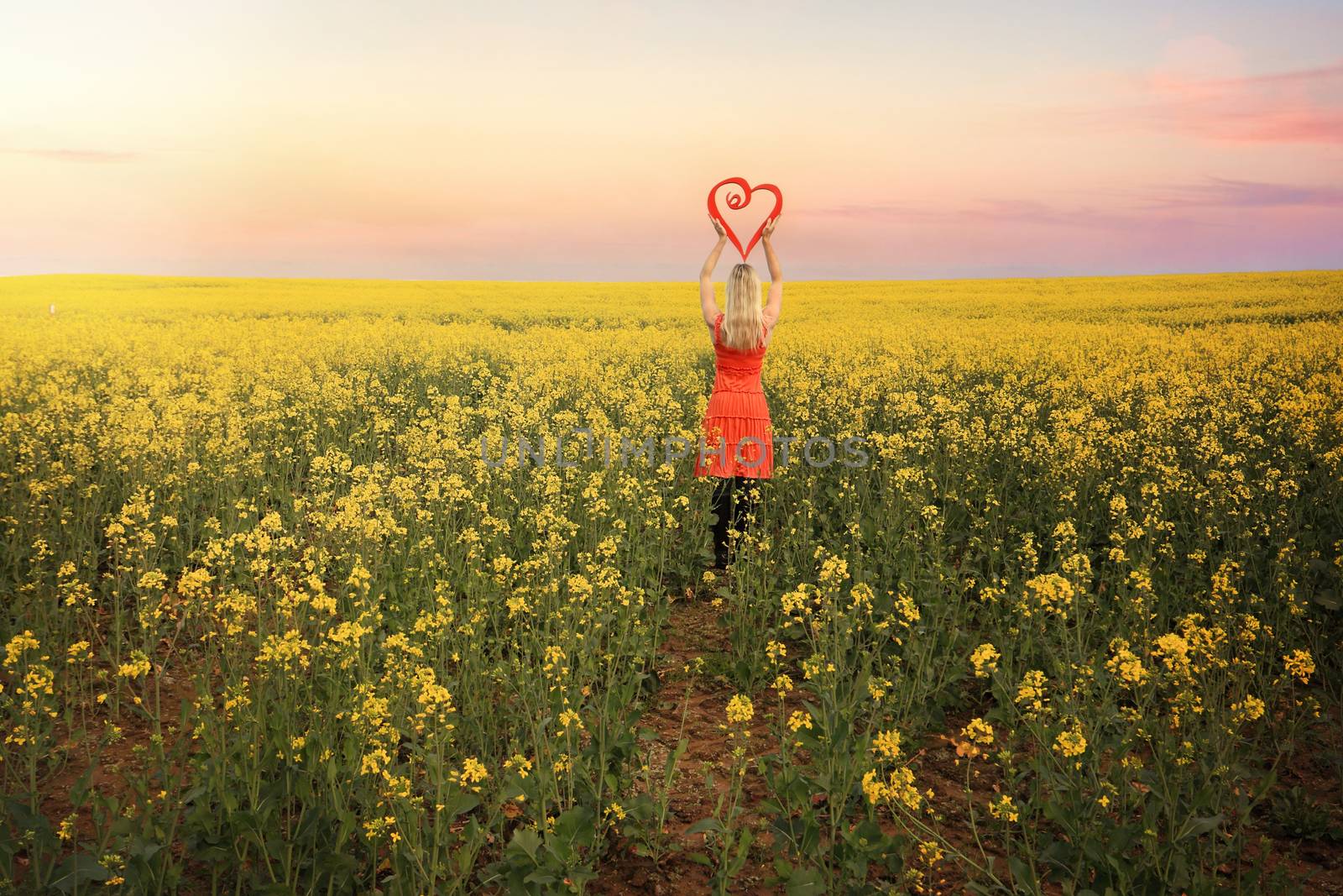  Woman in Canola Fields in Young Country NSW by lovleah