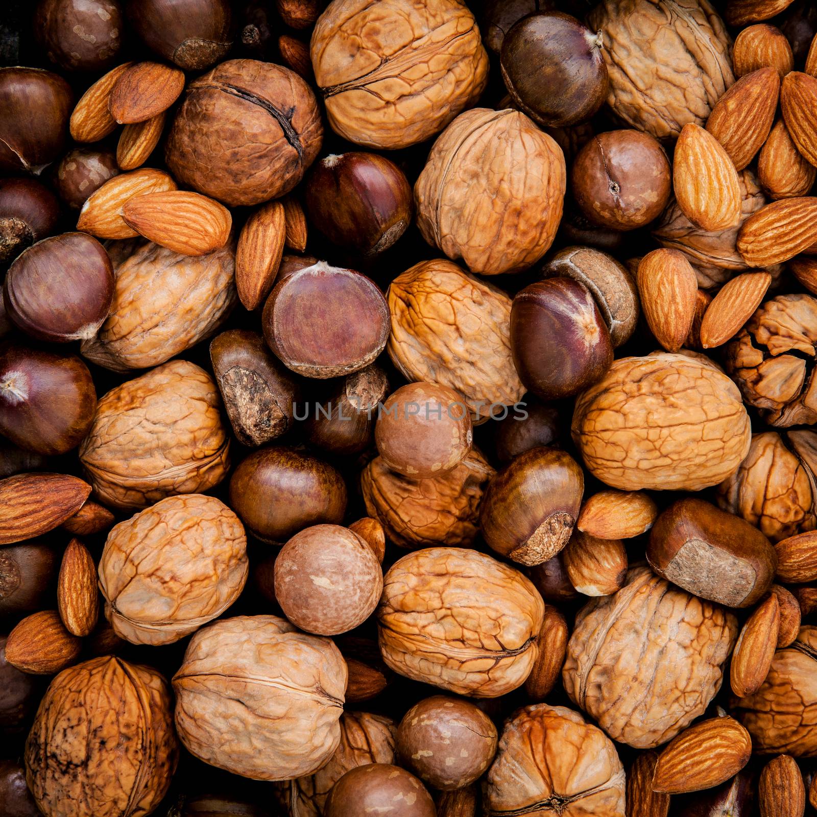 Different kinds of nuts in shells ,cashew, almond, walnut,hazelnuts, pecan and macadamia.
