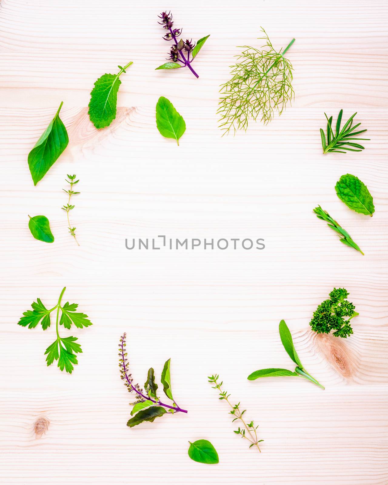 The circle of fresh herbs from the garden set up on white wooden by kerdkanno